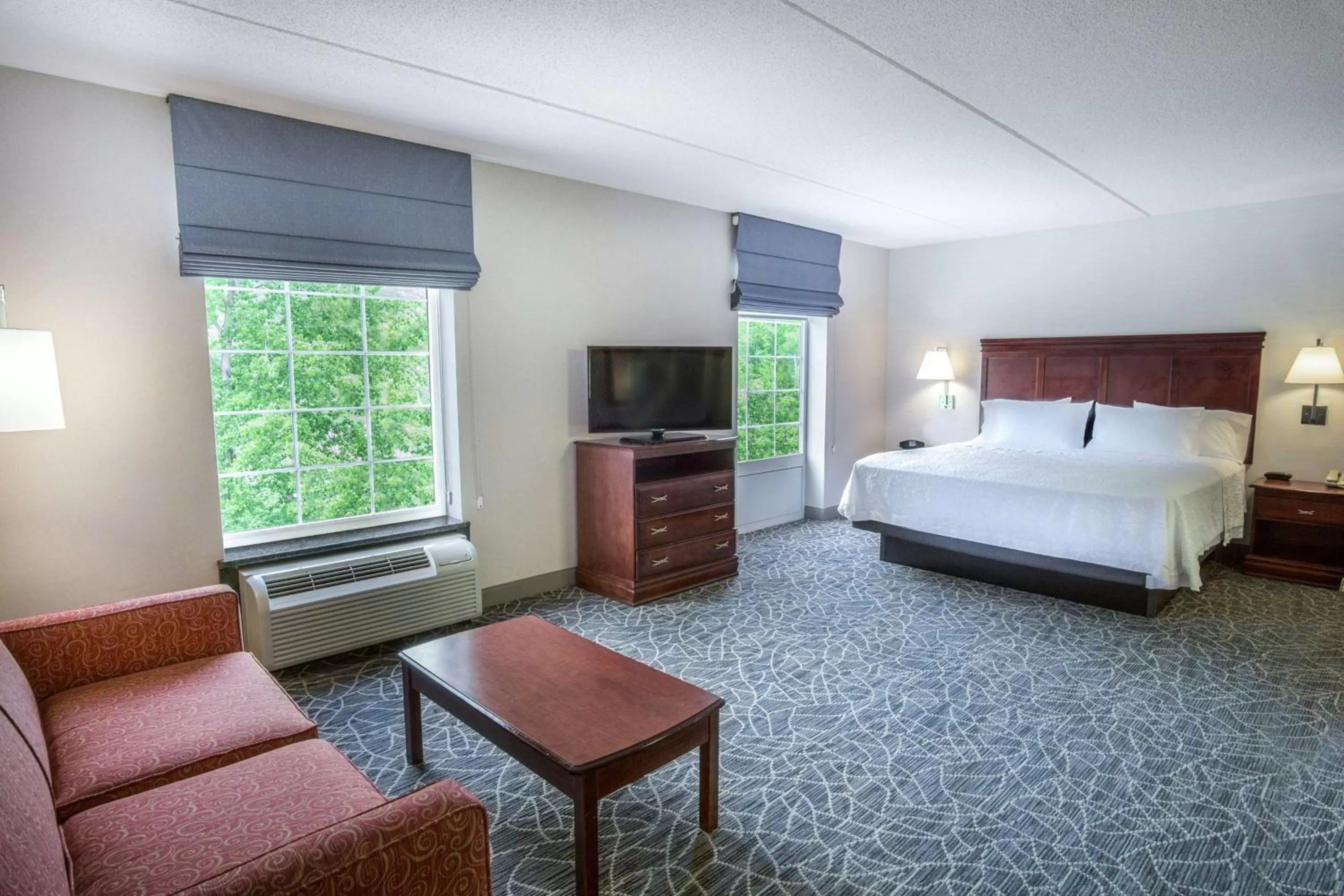 King Studio Suite with Sofa Bed - Non-Smoking in Hampton Inn & Suites Berkshires-Lenox