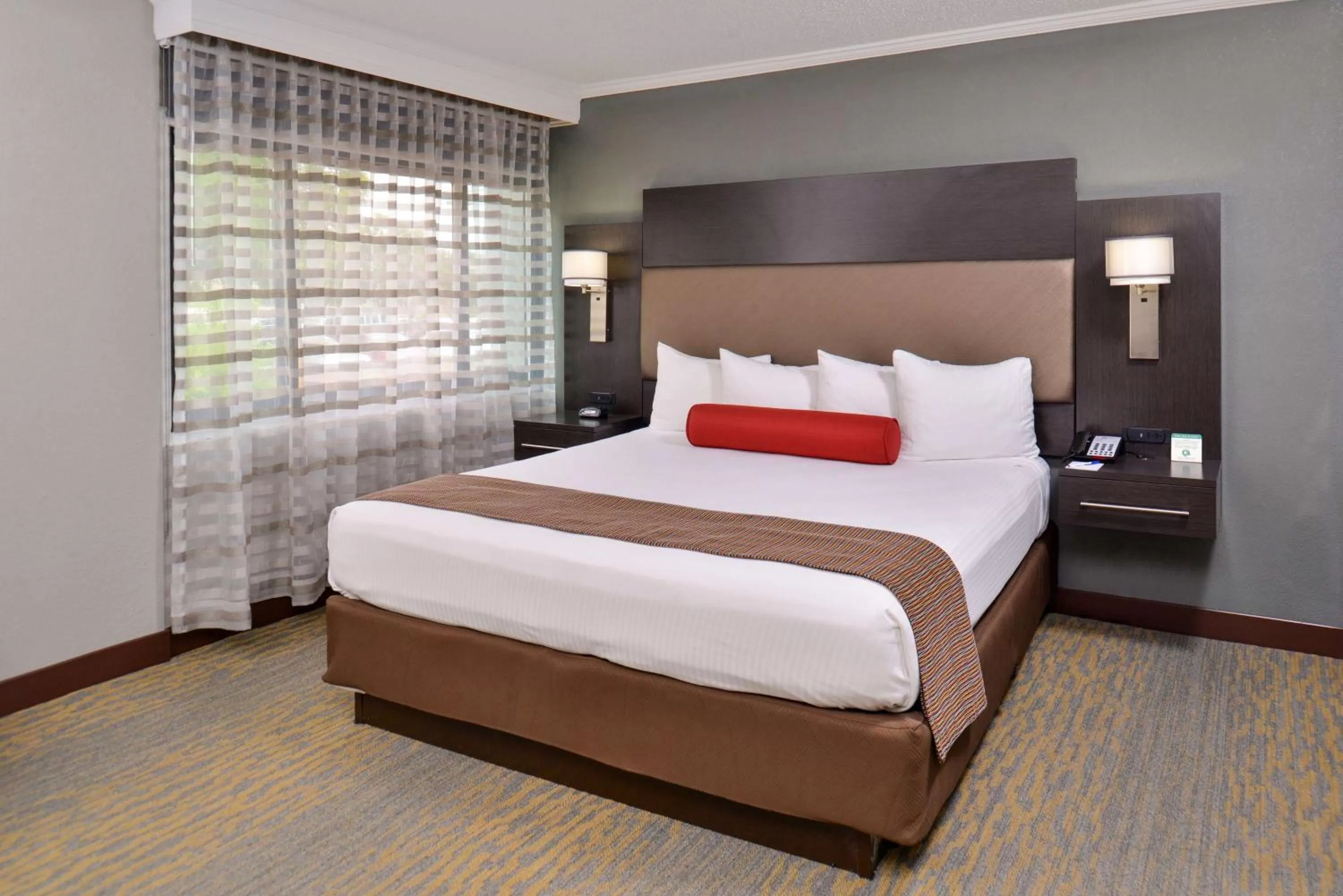 One Standard Room One Double- Mobility Access with Roll-in Shower in Best Western at O'Hare