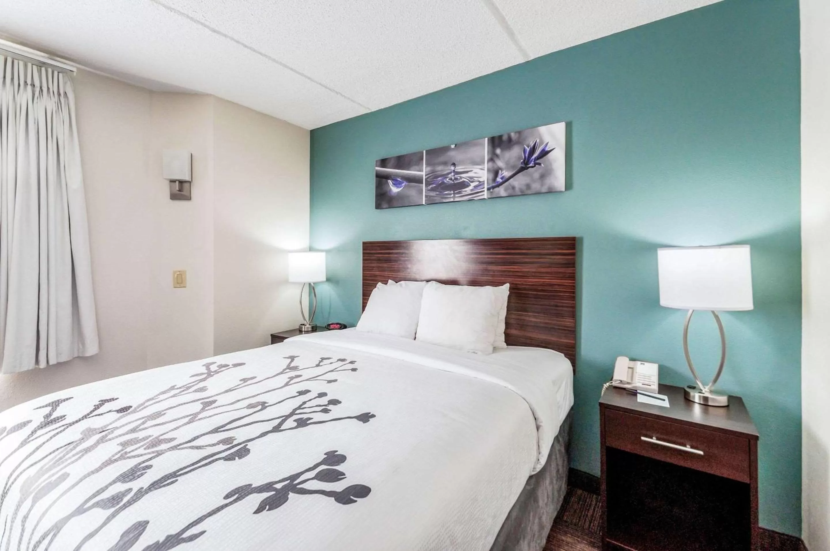 Queen Room - Accessible/Non-Smoking in Sleep Inn & Suites Rehoboth Beach