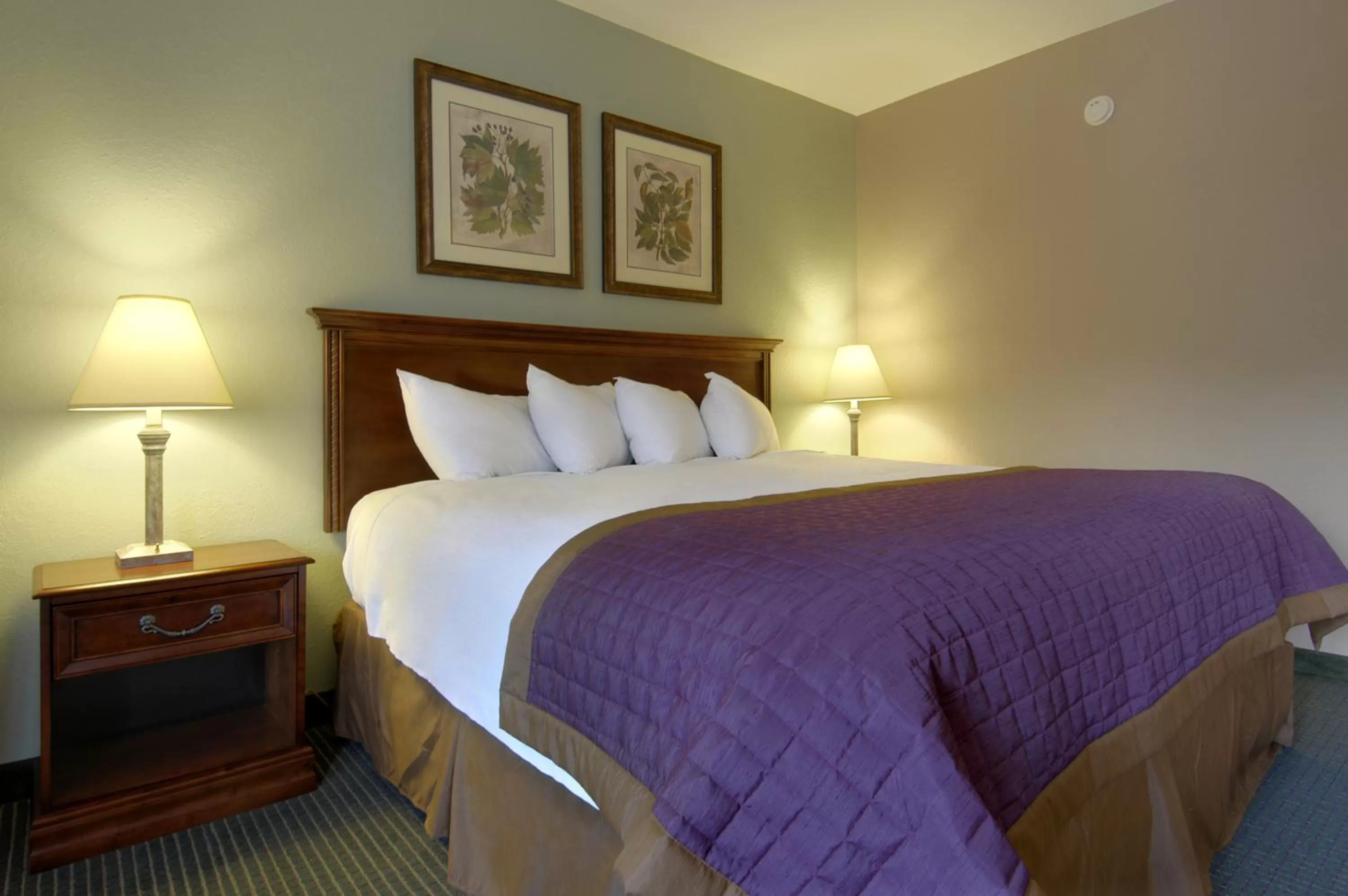 Queen Room - Disability Access - Non-Smoking in Bay Mountain Inn Cherokee Smoky Mountains