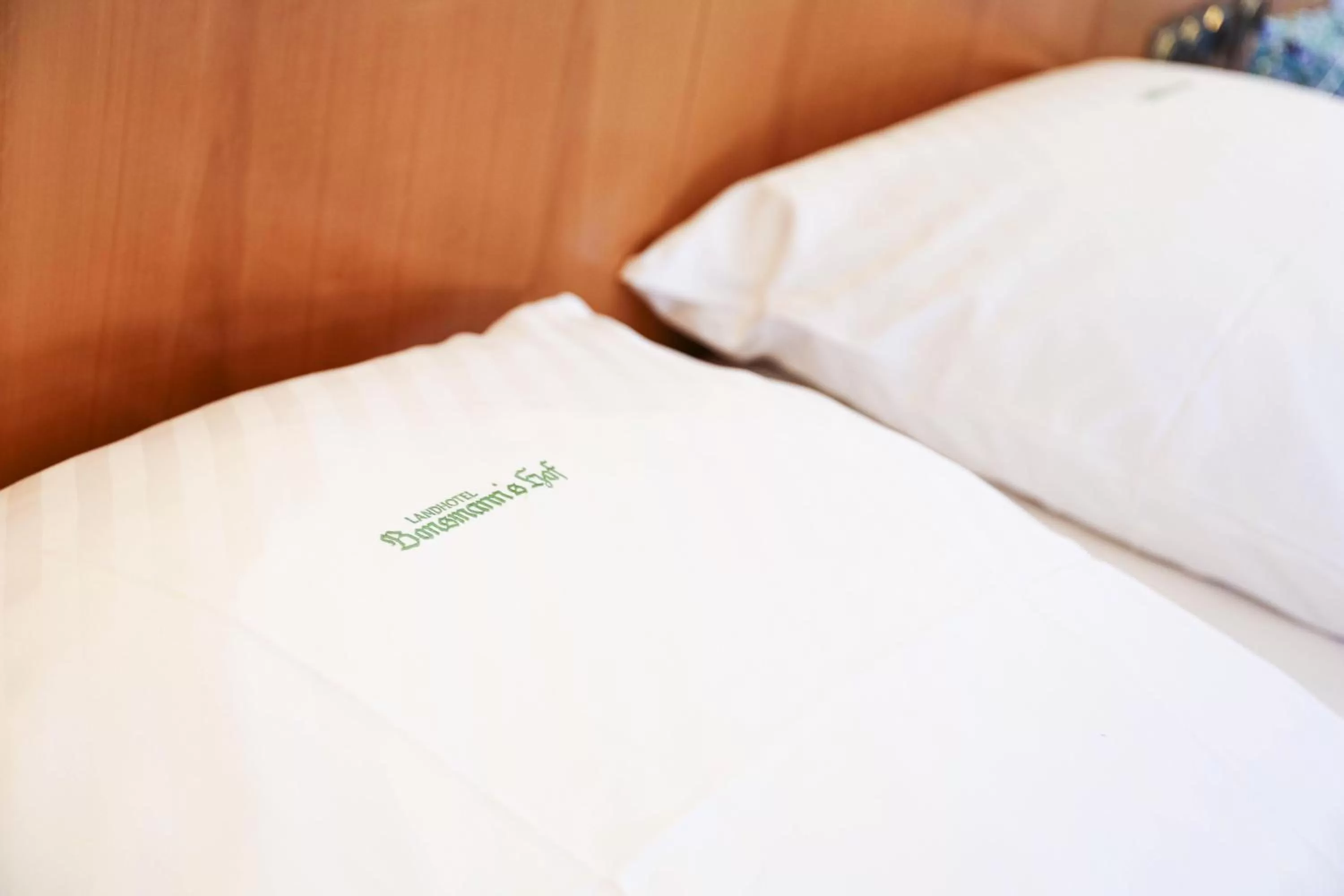 Double Room - single occupancy in Landhotel Bonsmann's Hof