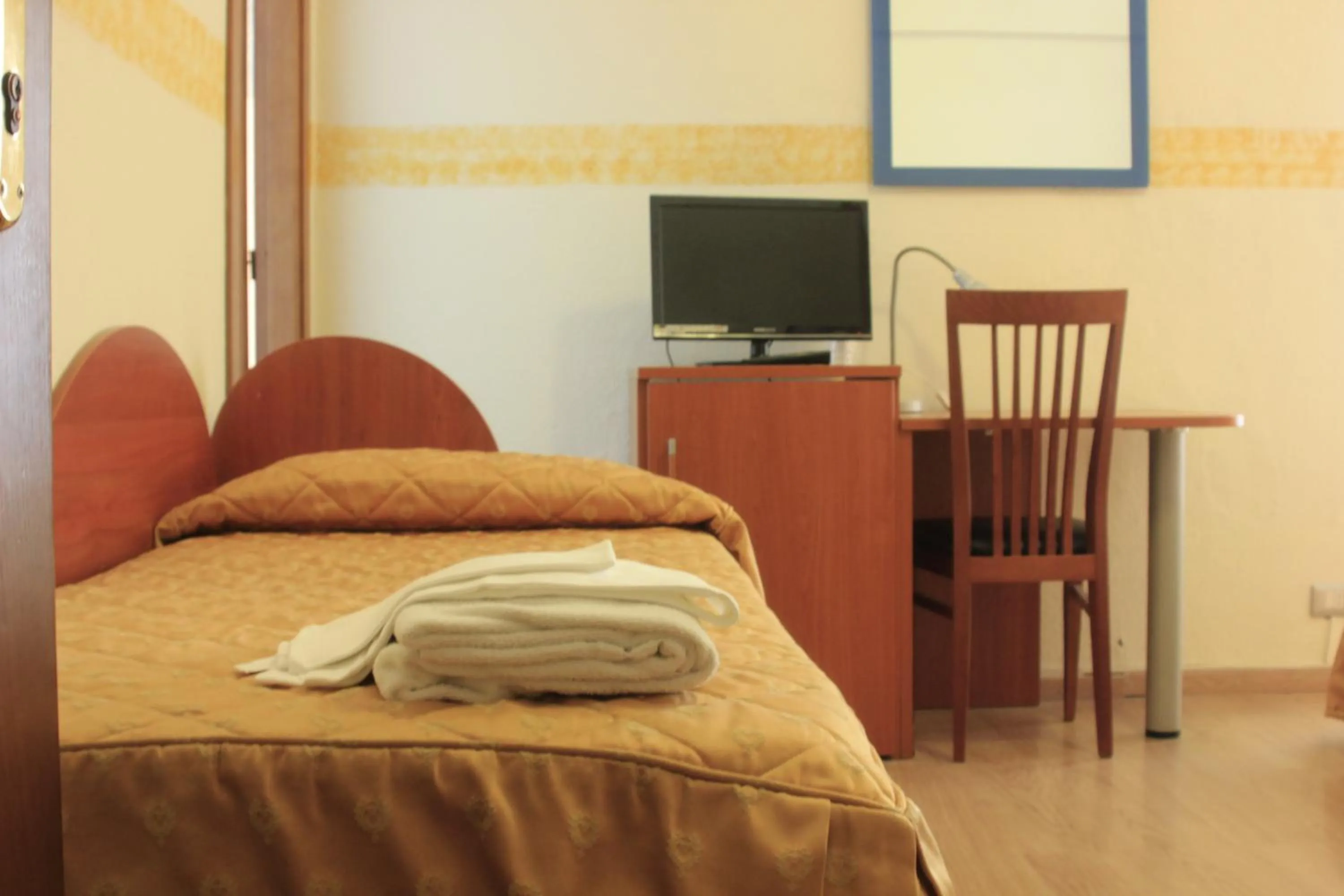 Single Room - single occupancy in Hotel Bellevue