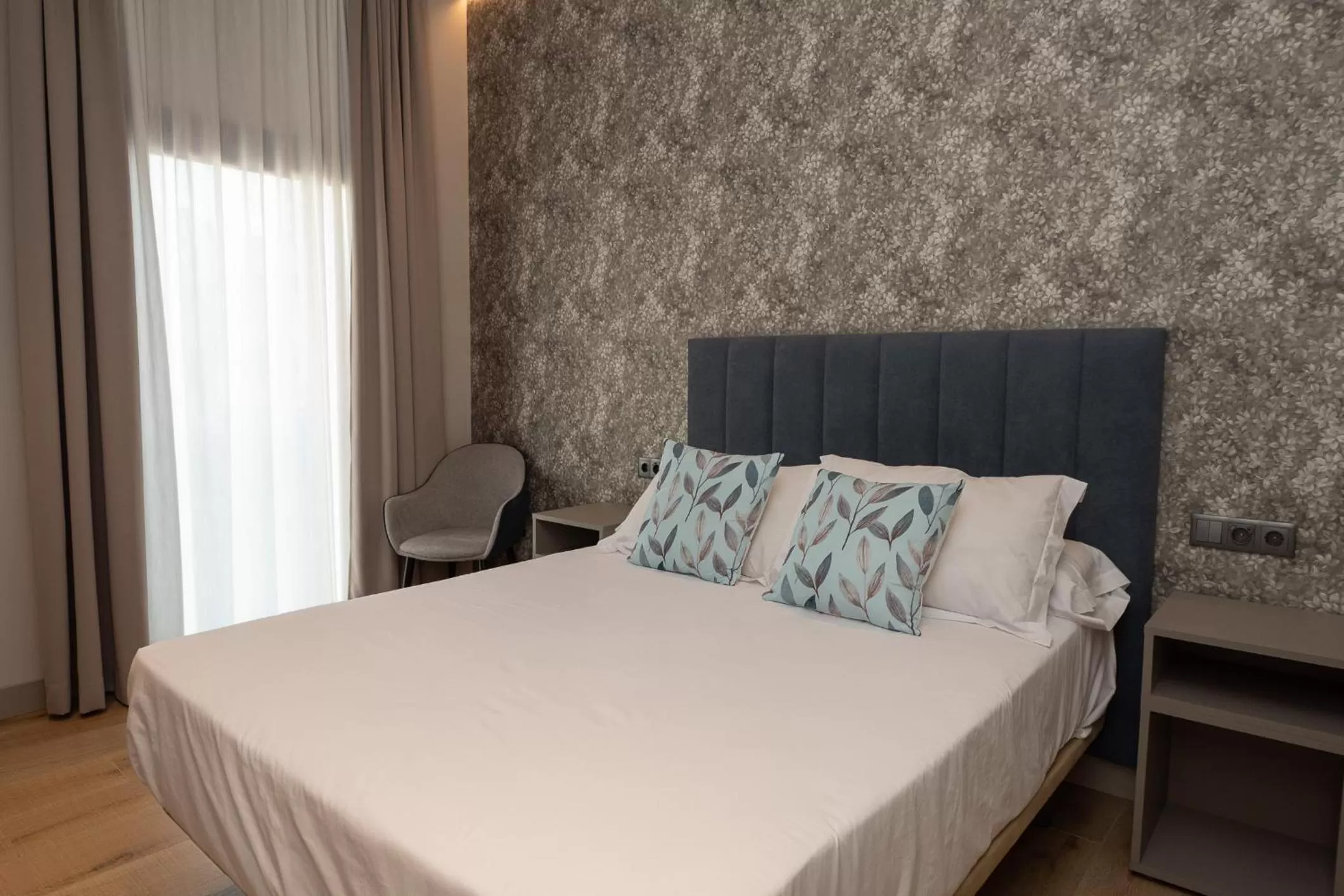 Double Room in Hotel Aldama