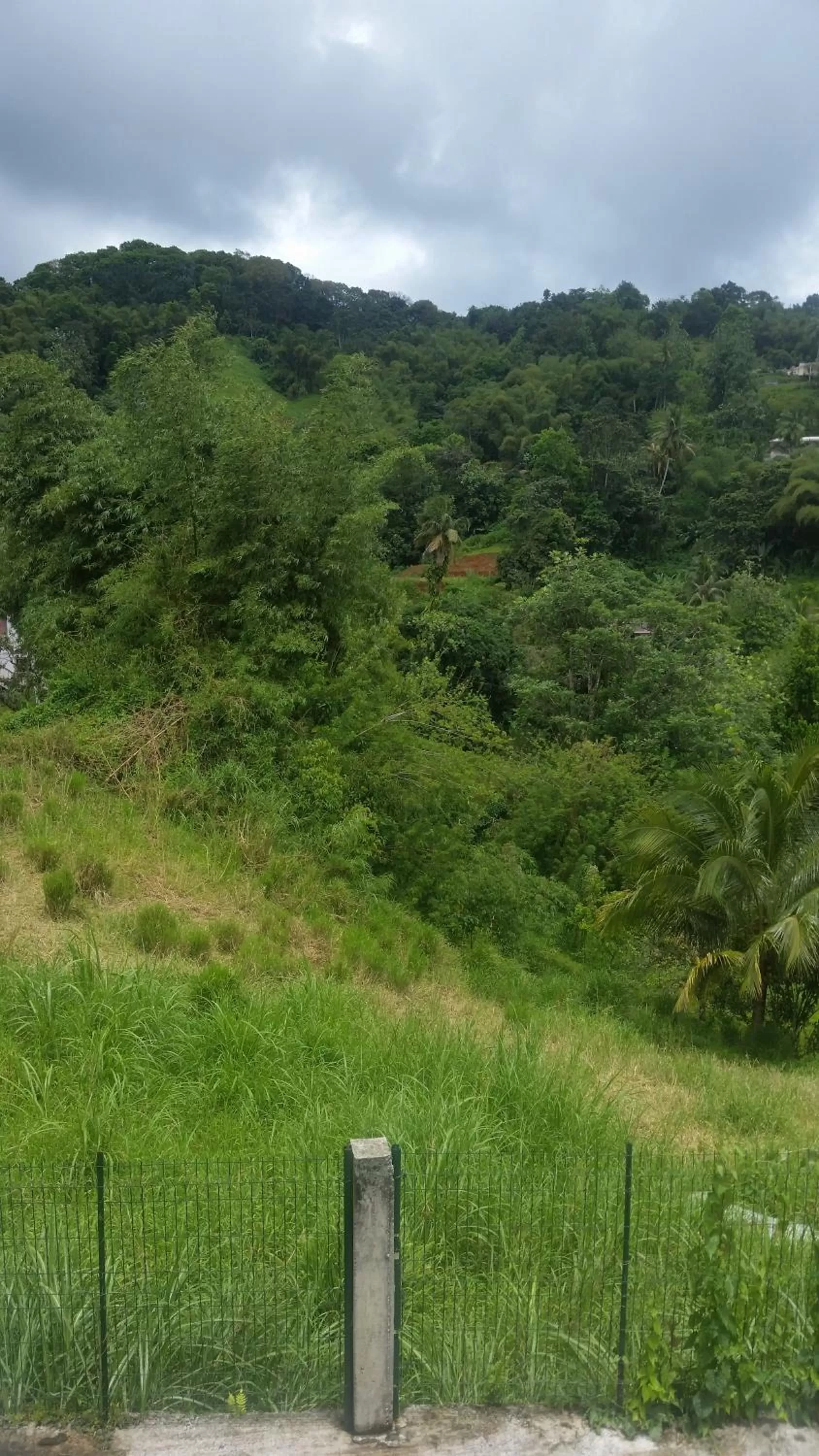 Quadruple Room with Garden View in L'Oliveraie