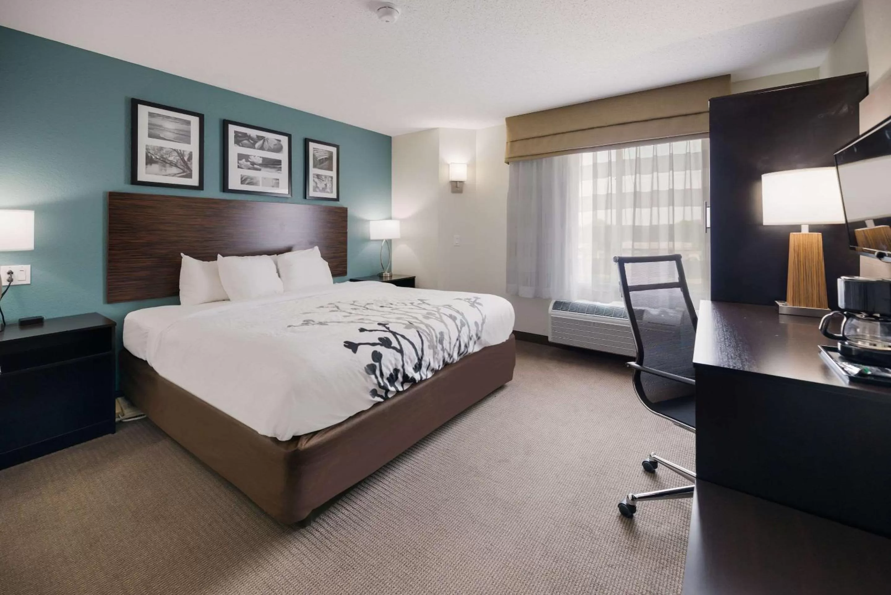 King Room - Accessible/Non-Smoking in Sleep Inn & Suites Port Clinton