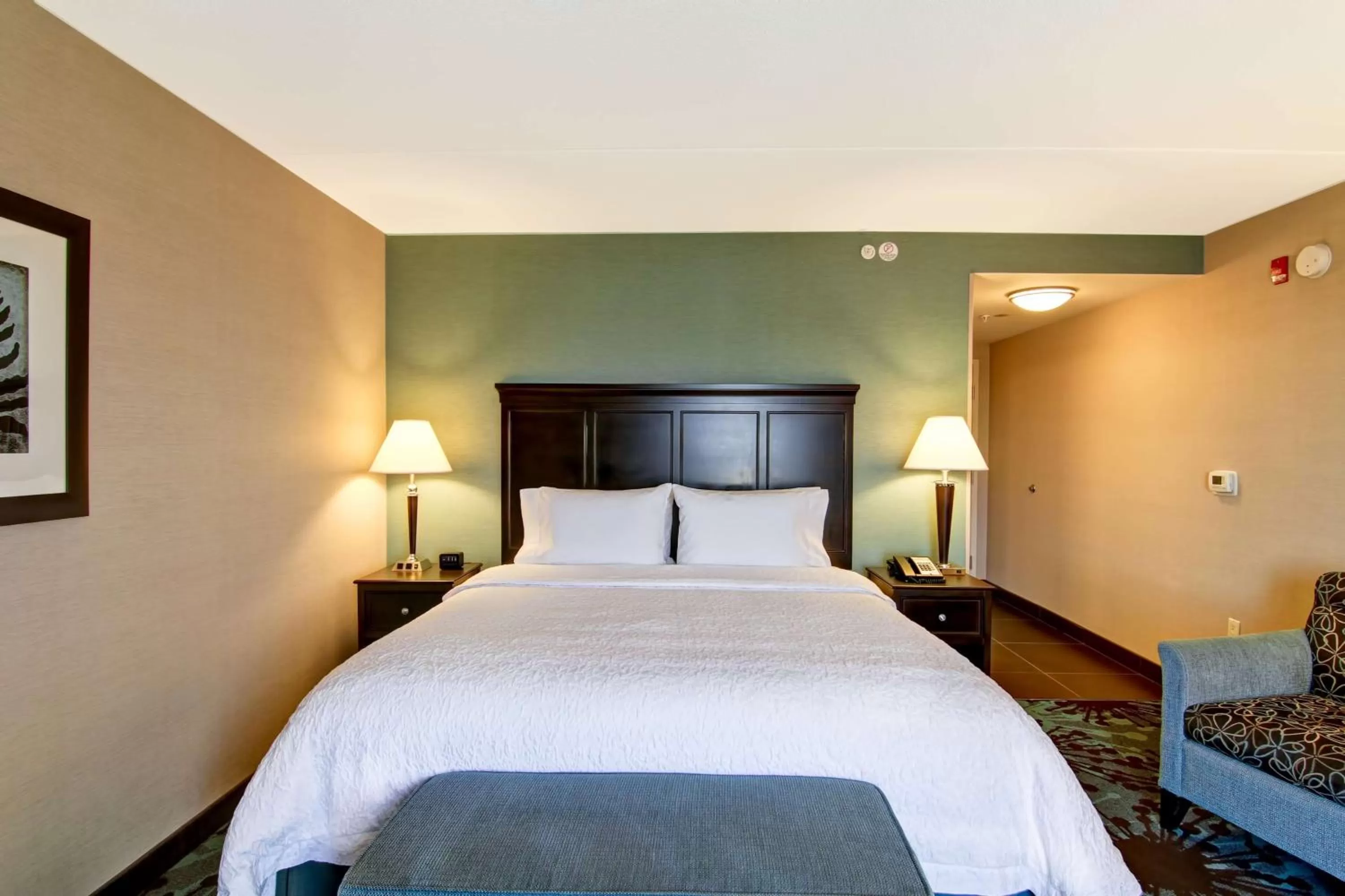 King Room - Disability Access/Non-Smoking in Hampton Inn by Hilton Toronto Airport Corporate Centre