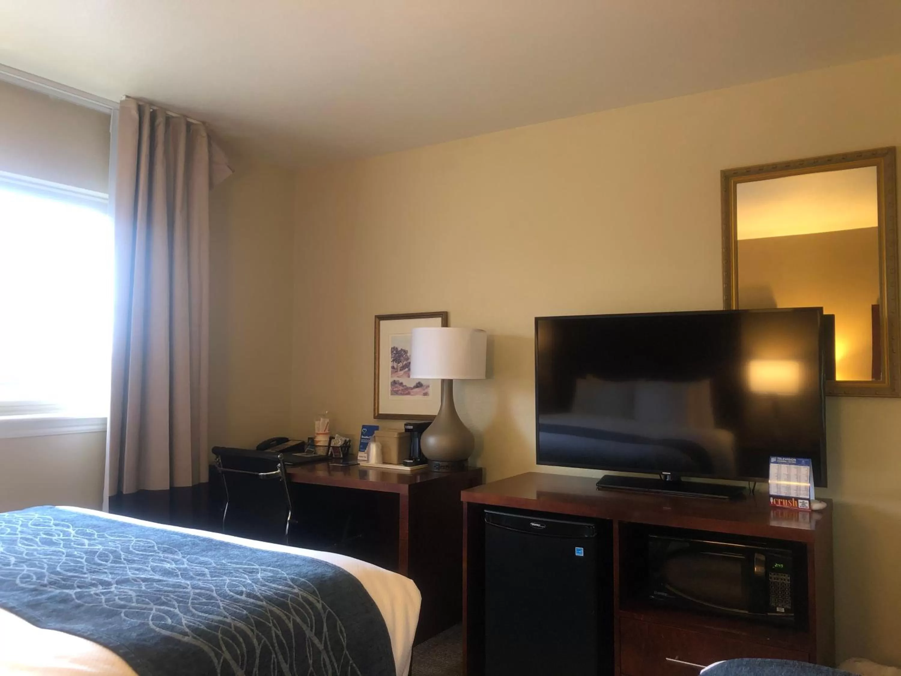 King Suite - Non-Smoking in Comfort Inn & Suites Ukiah Mendocino County