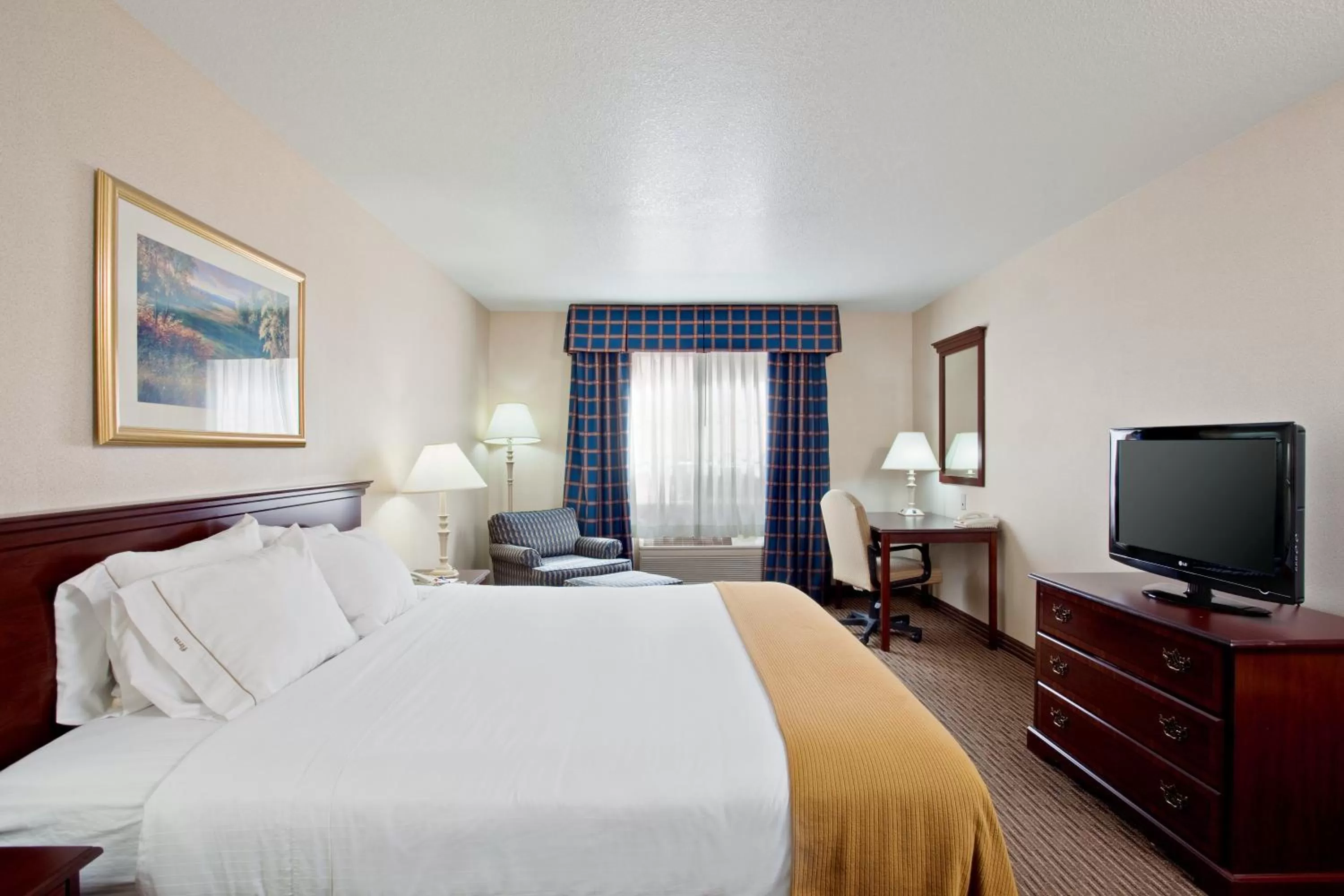 Standard King Room in Holiday Inn Express & Suites Jackson by IHG