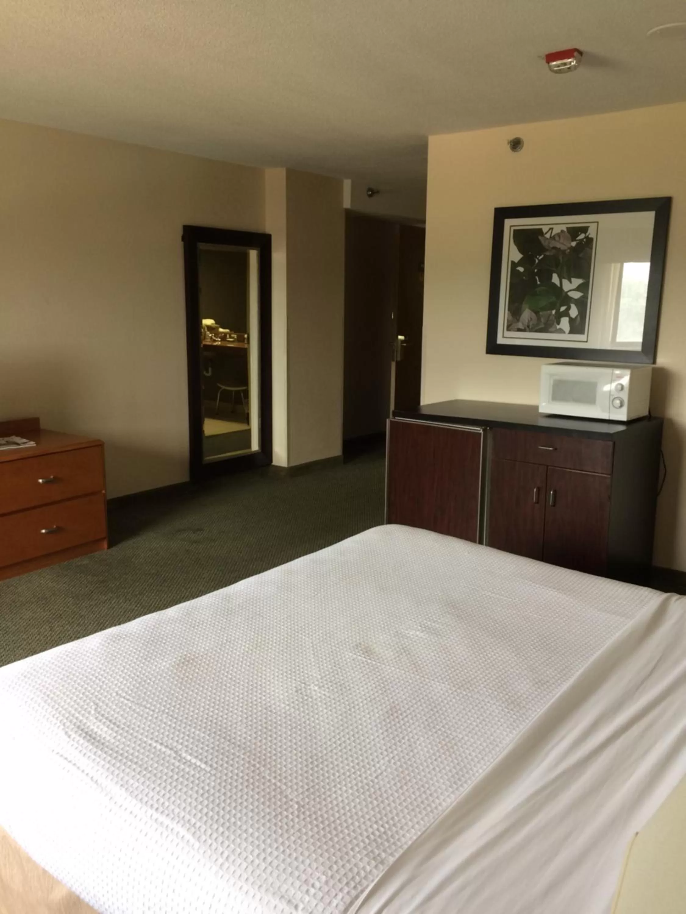 King Room - Disability Access in Capital Plaza Hotel