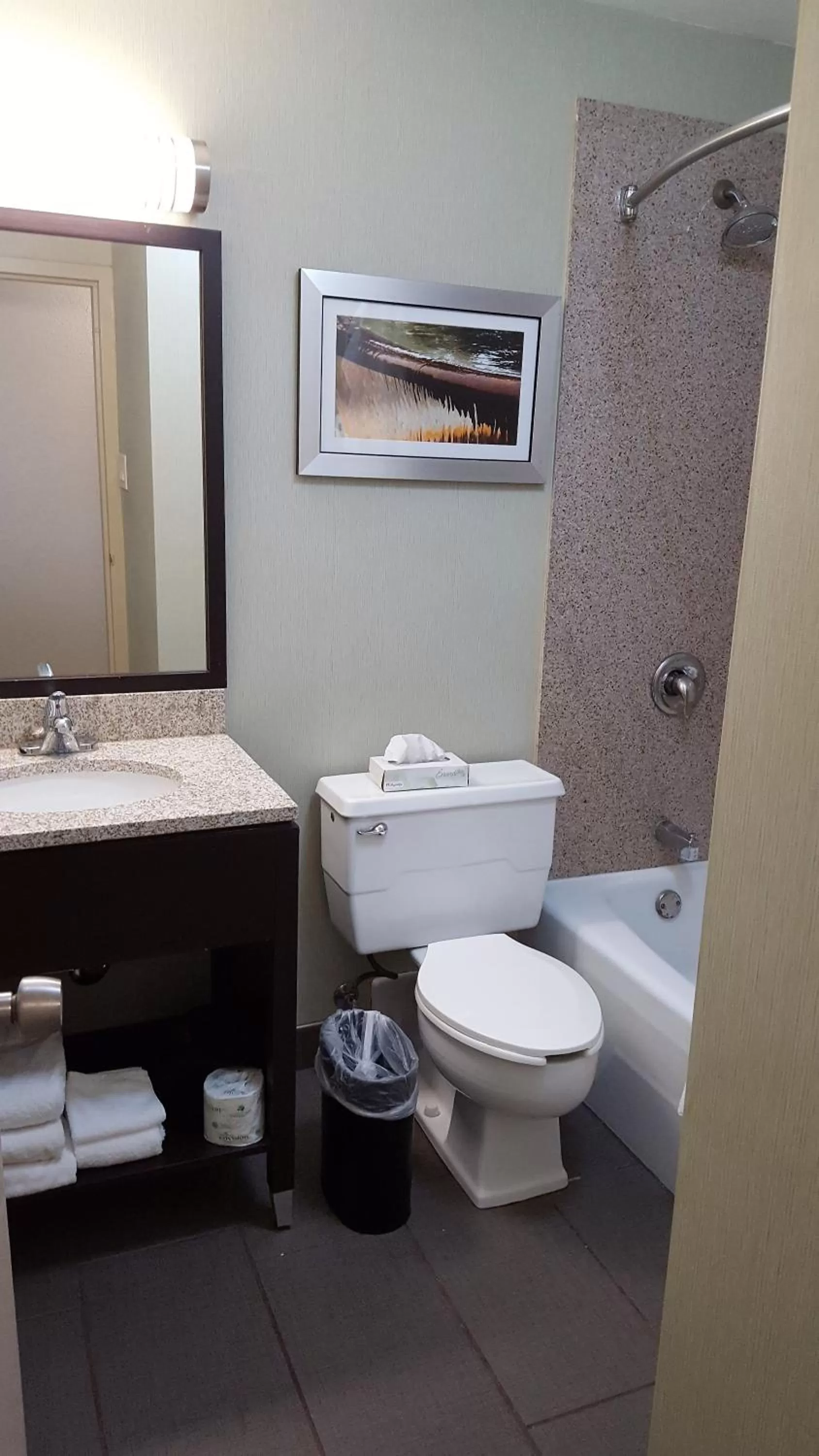 King Room with Lake View - Mobility Accessible/Non-Smoking in Wyndham Garden Kenosha Harborside