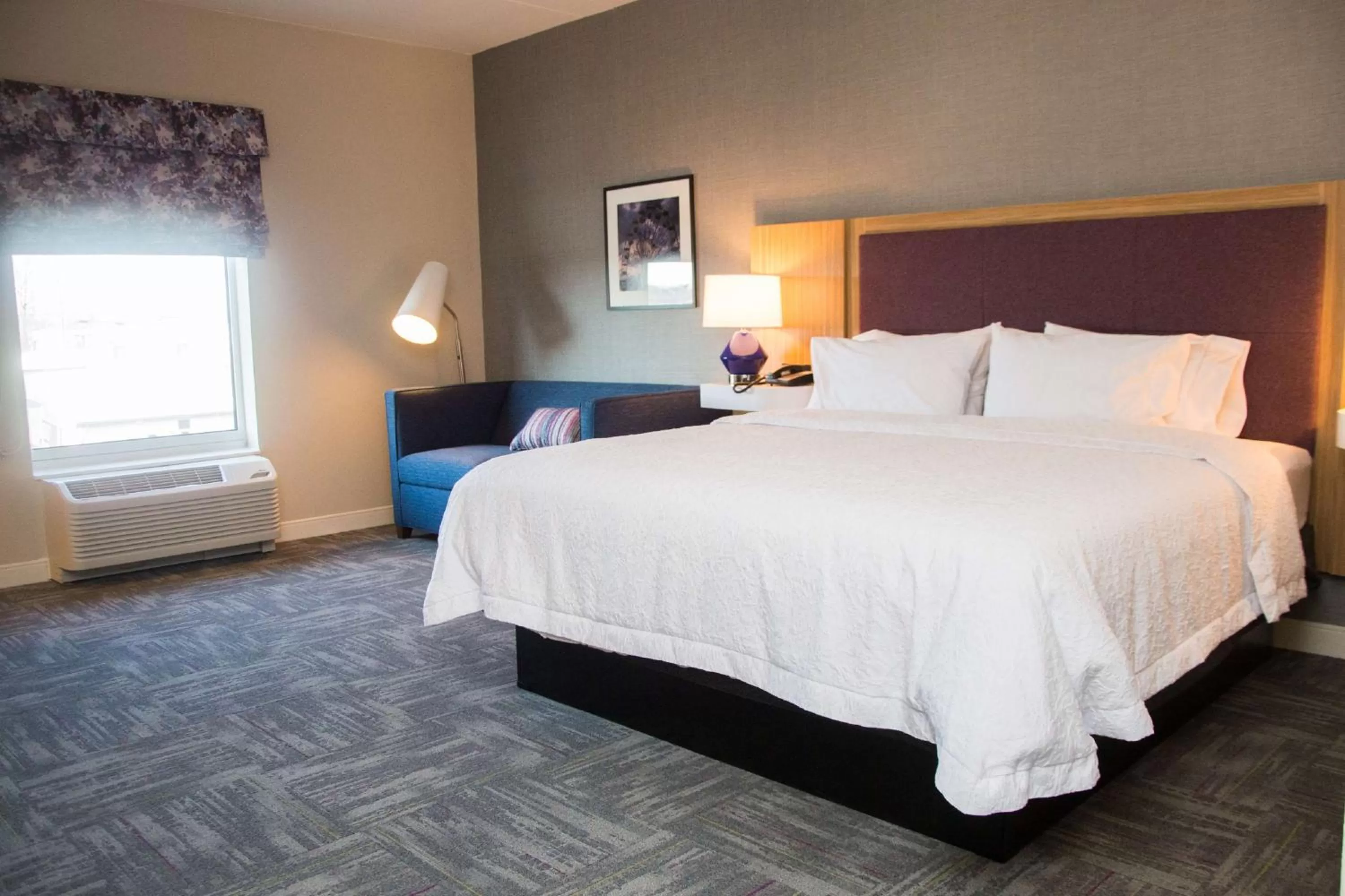 King Room with Roll-in Shower and Sofa Bed - Mobility and Hearing Access in Hampton Inn & Suites Warrington Horsham
