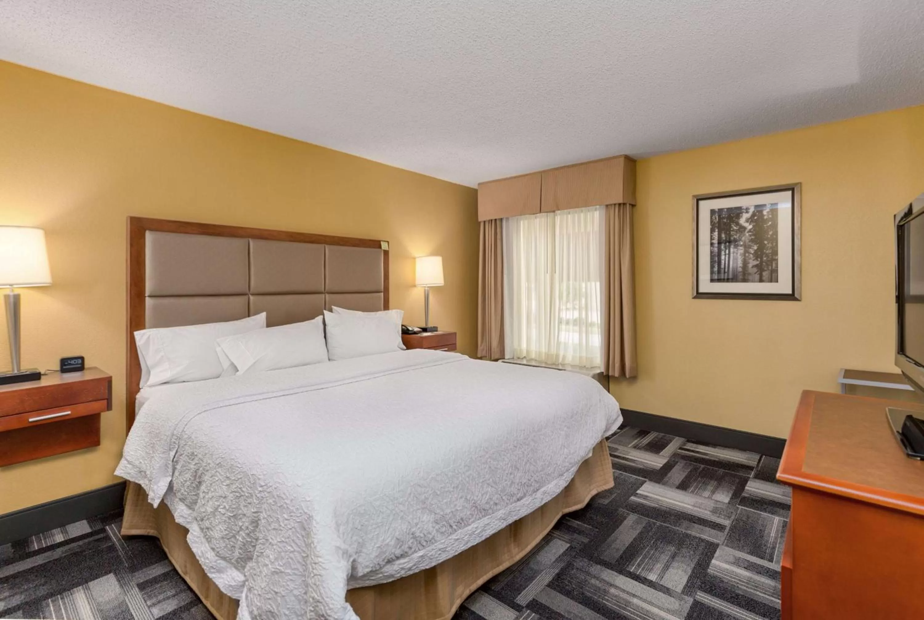 Premium King Room - Non-Smoking in Hampton Inn Owensboro