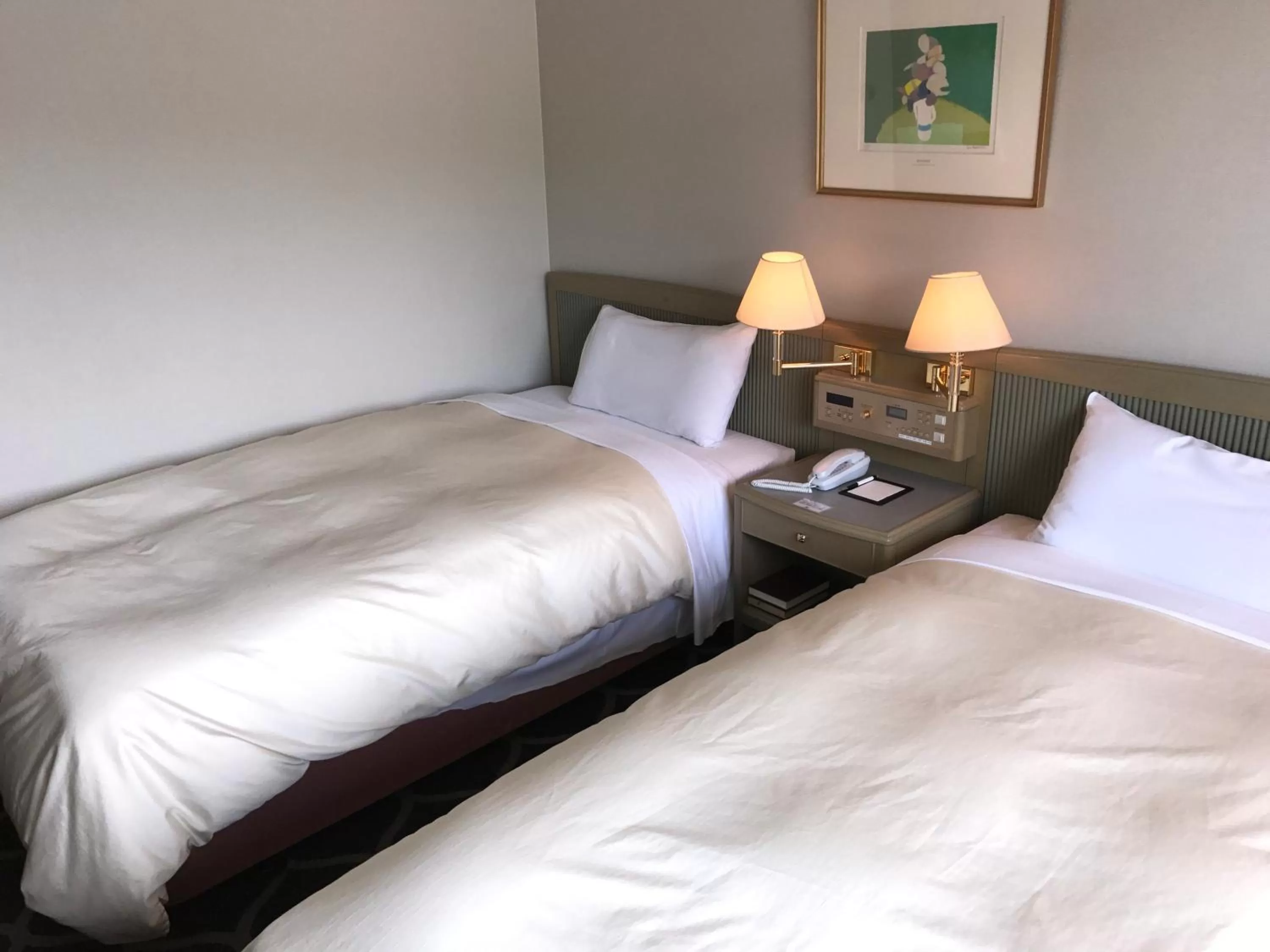 Superior Twin Room - Smoking in Hotel Grand Terrace Chitose