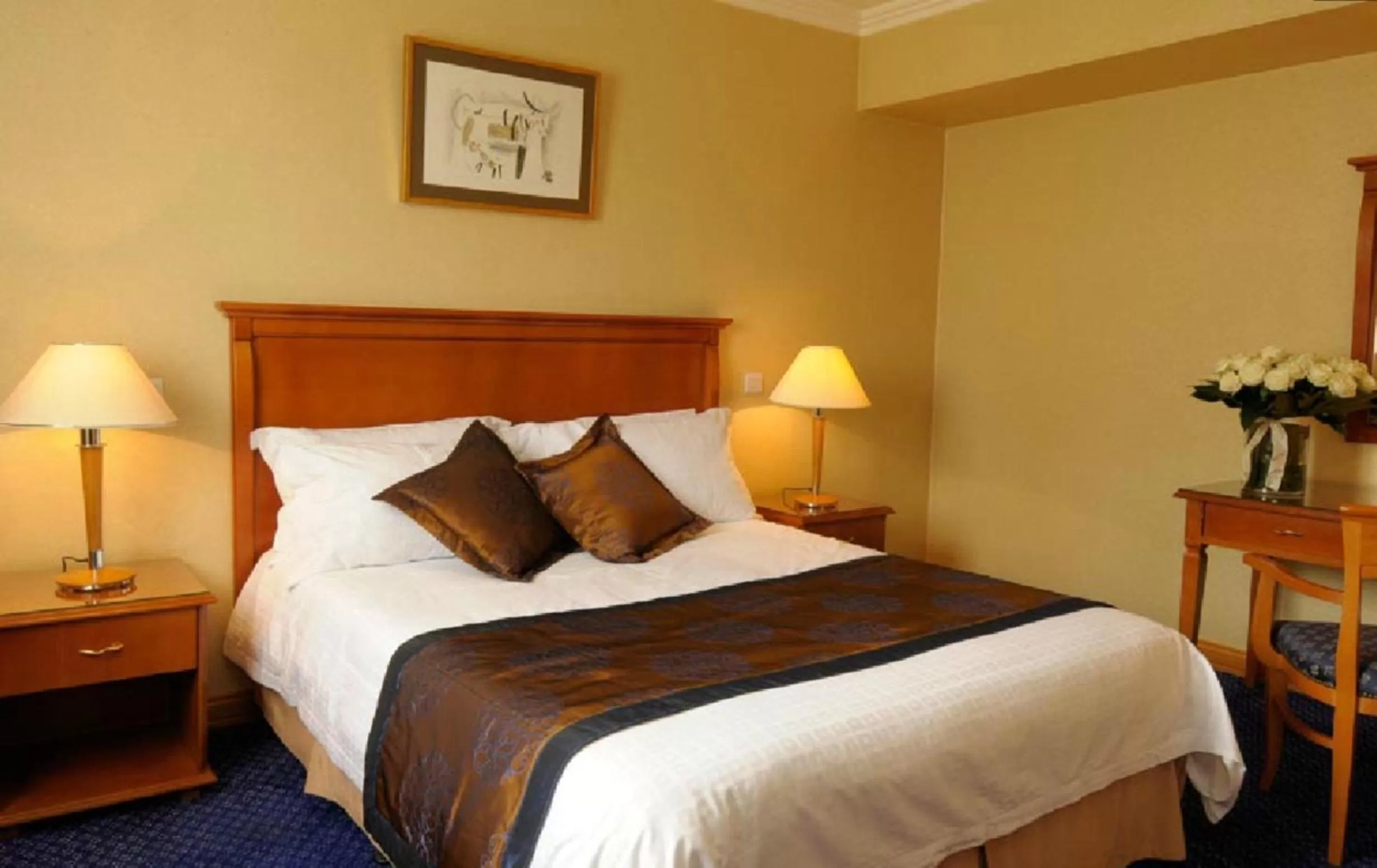 Superior Double Room in Castelli Hotel Nicosia