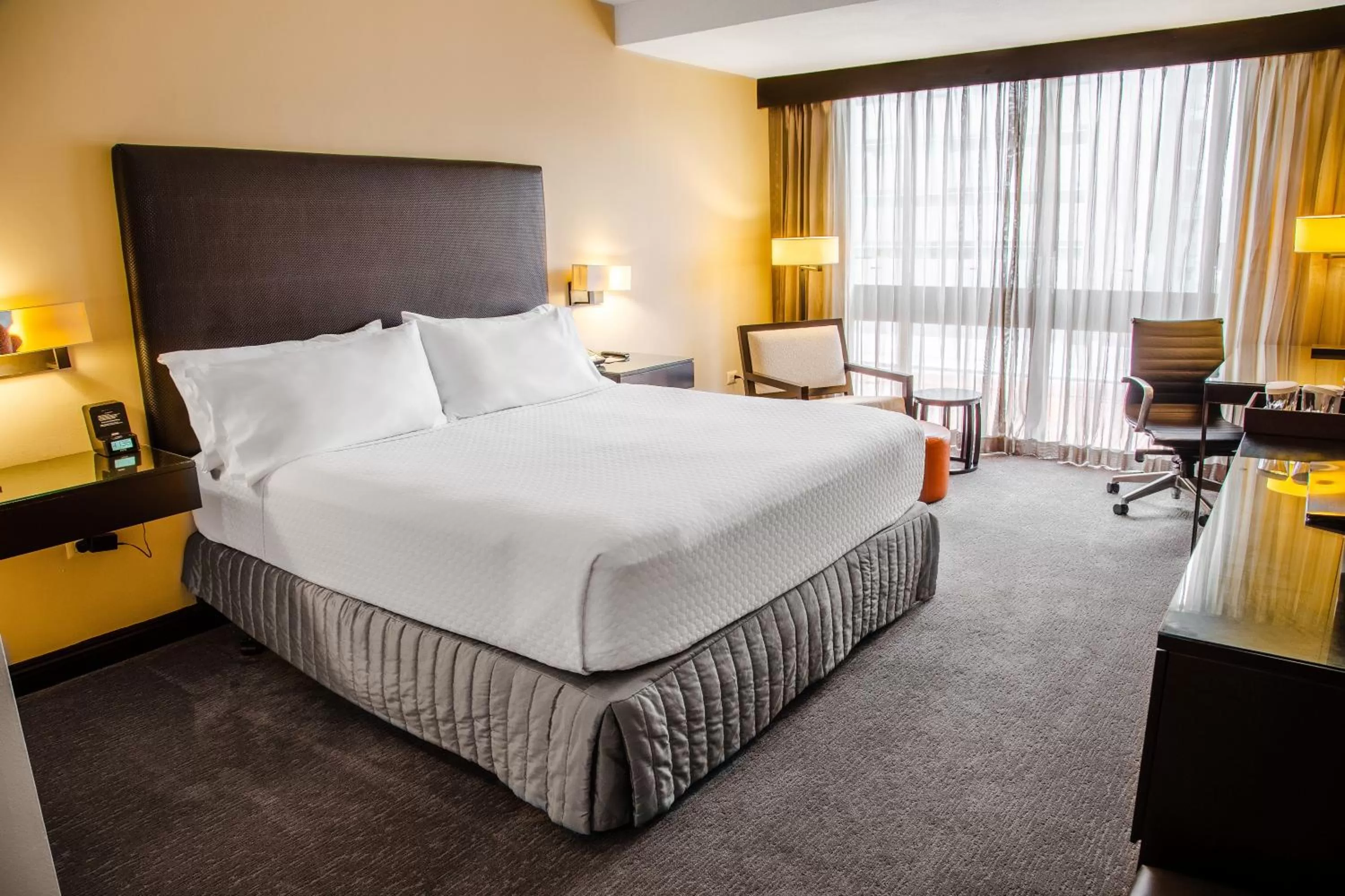  1 King Bed Standard  in Hilton San Salvador