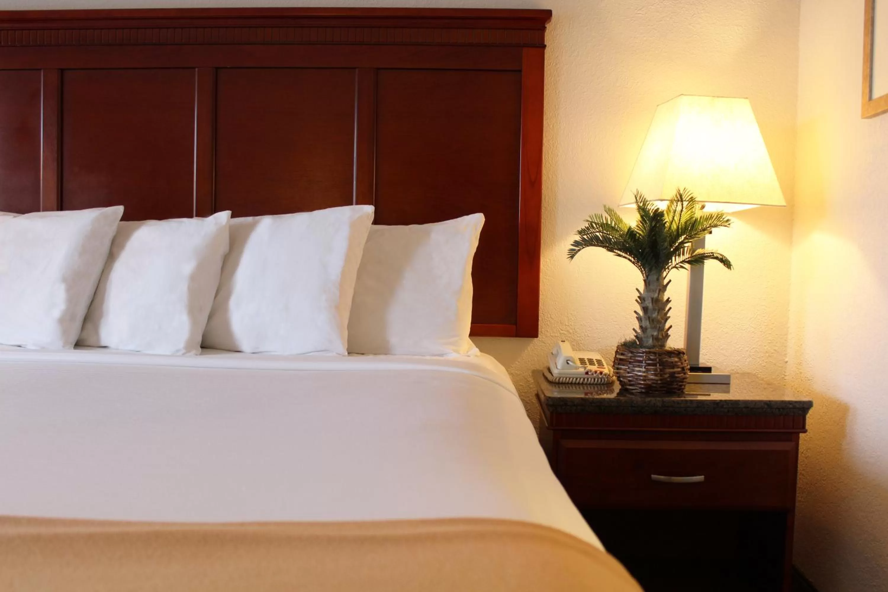 King Room in Hotel E Real