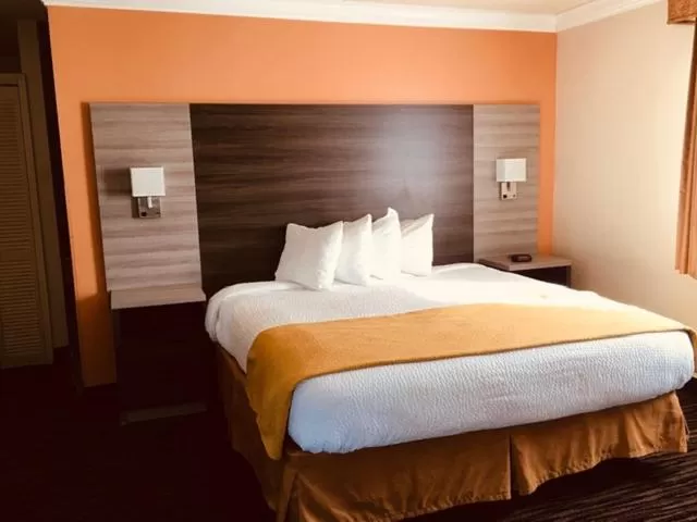 King Room - Non-Smoking in Arbor Inn Monterey