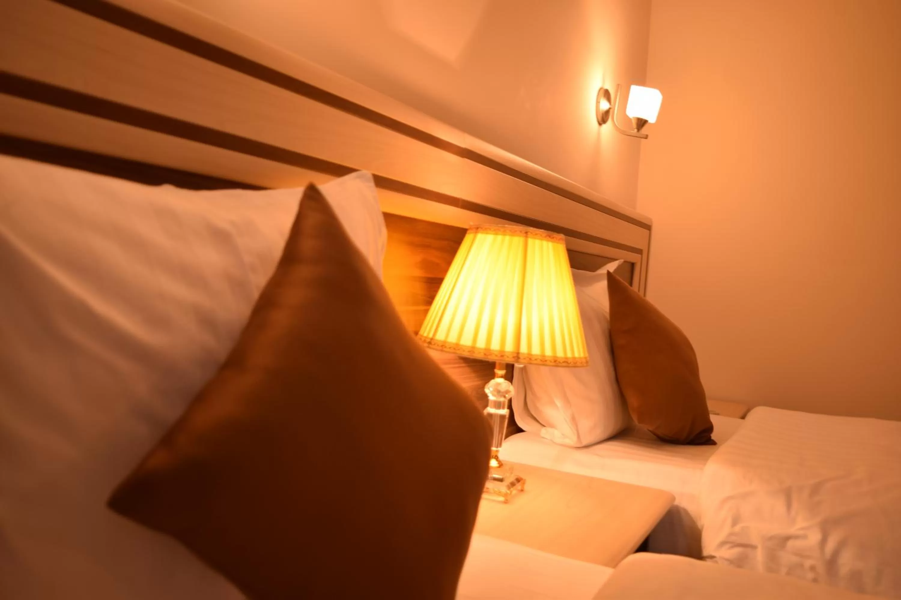 Standard Twin Room in Artsakh Hotel