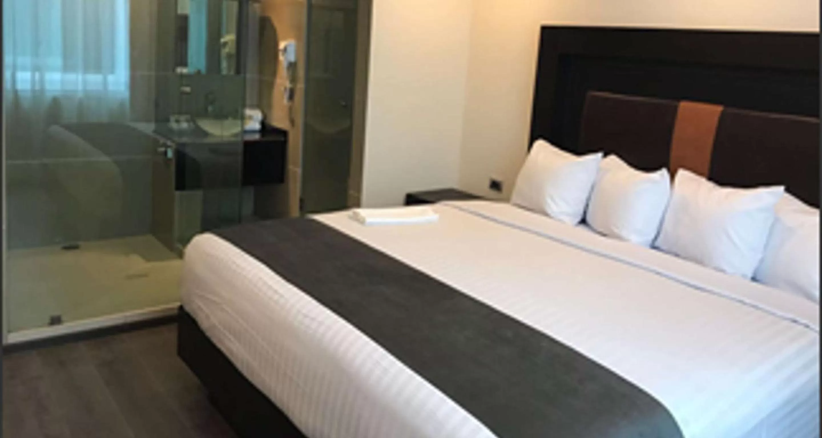 King Room - single occupancy in Best Western Plus Metepec & Suites