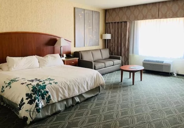 Deluxe King Room - Non-Smoking in Wingate by Wyndham Elkins