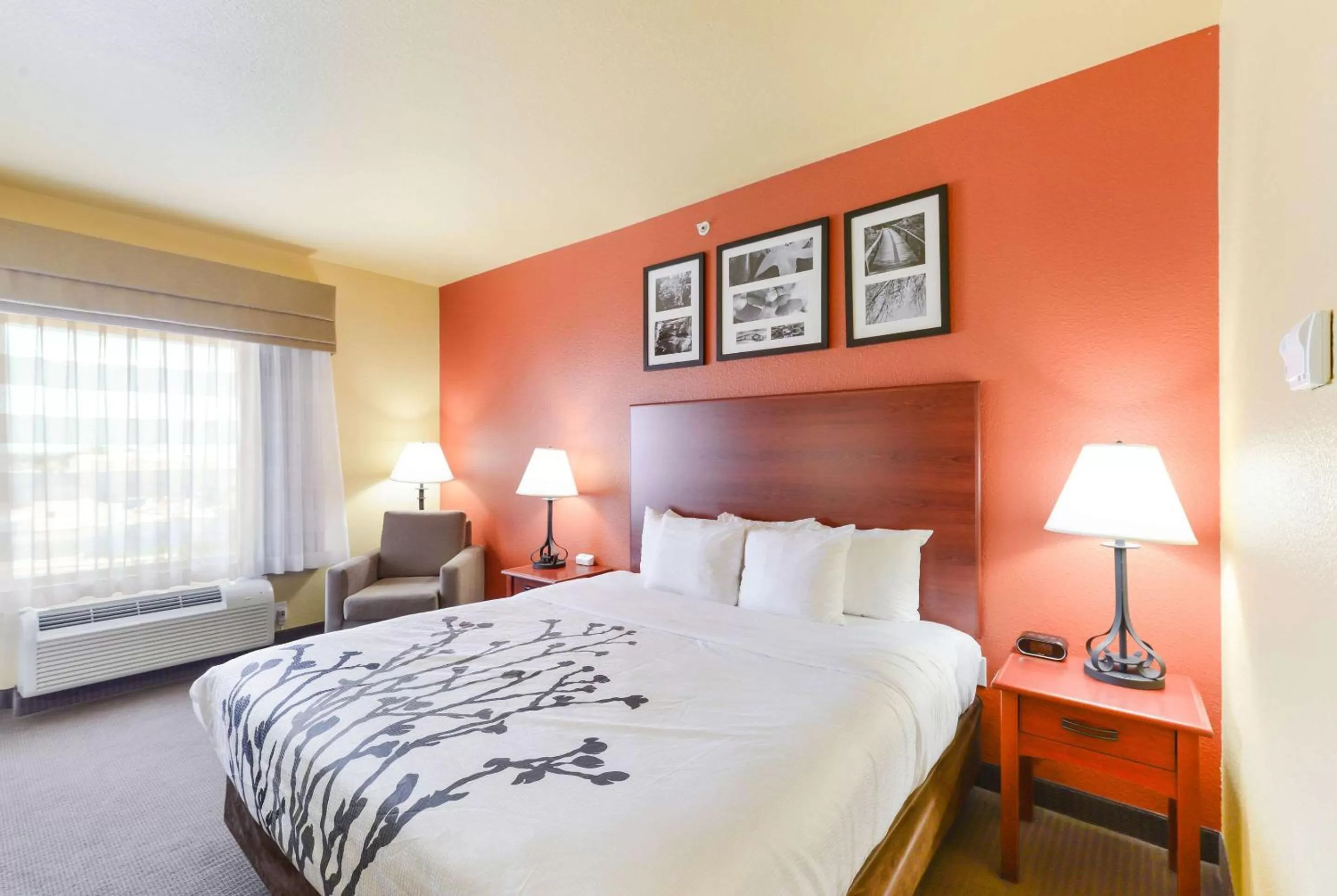 King Room - Accessible/Non-Smoking in Sleep Inn & Suites Midland West