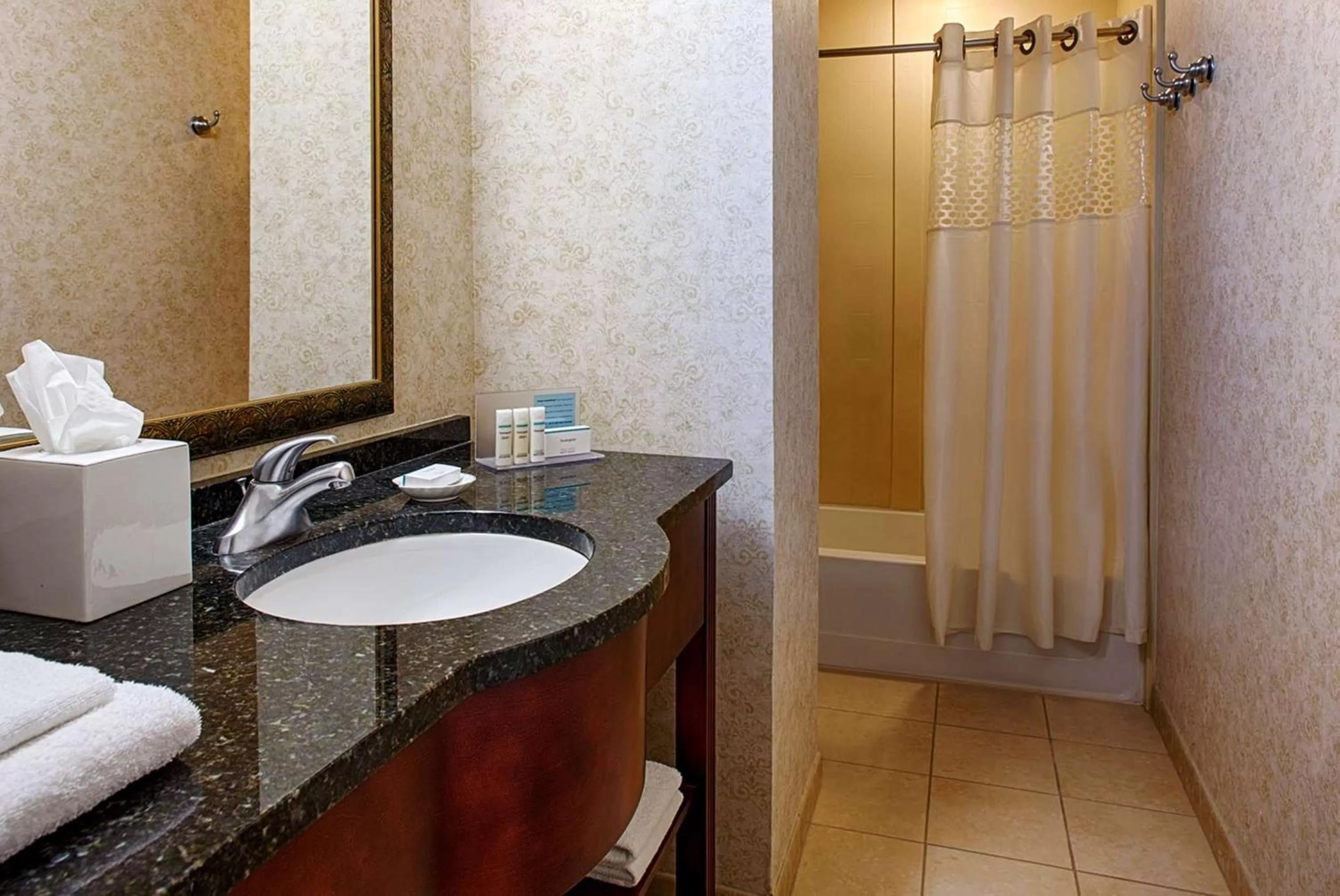 One-Bedroom King Suite - Non-Smoking in Hampton Inn & Suites Birmingham-Downtown-Tutwiler