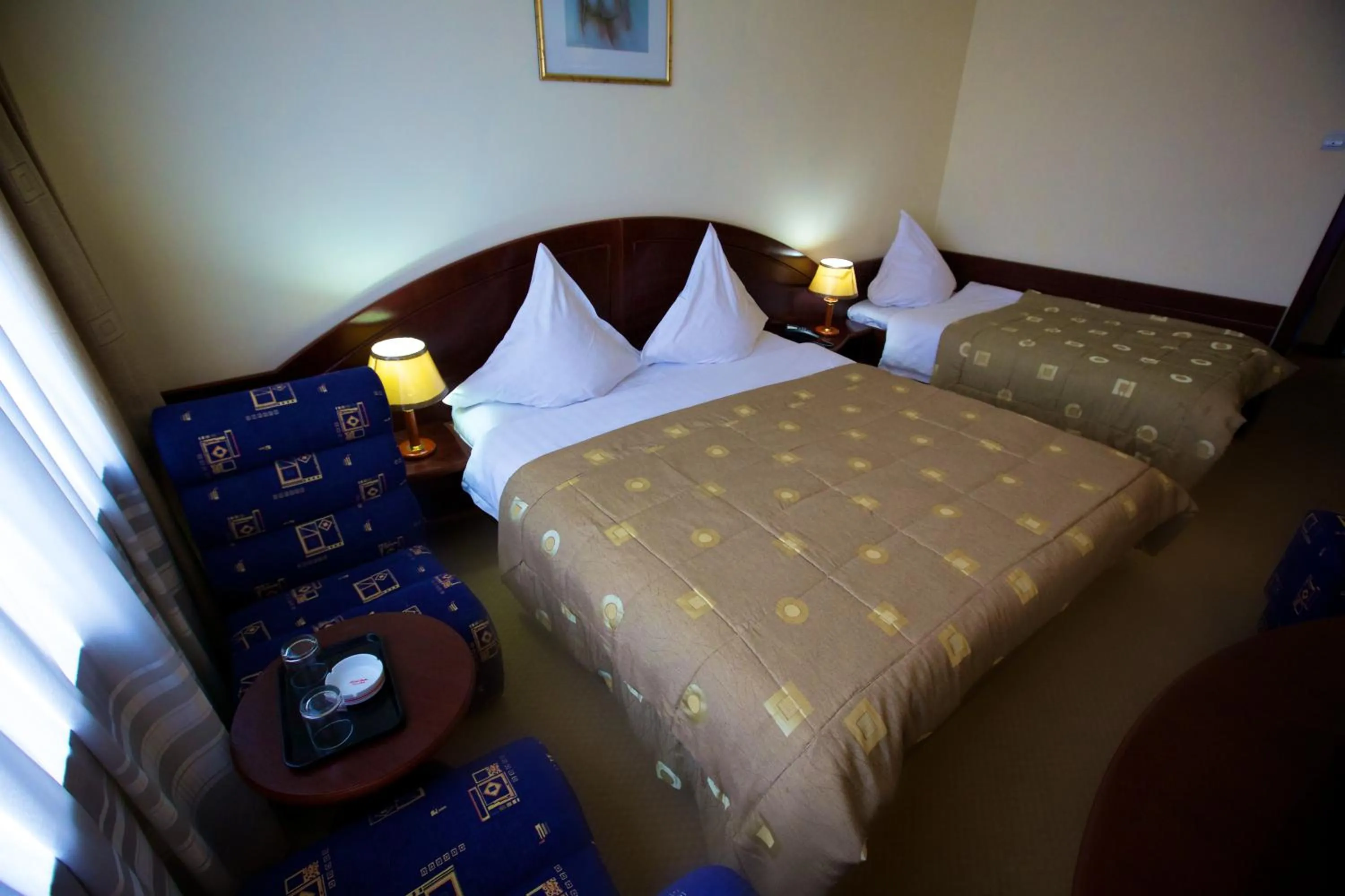 Triple Room in Hotel Delta 3