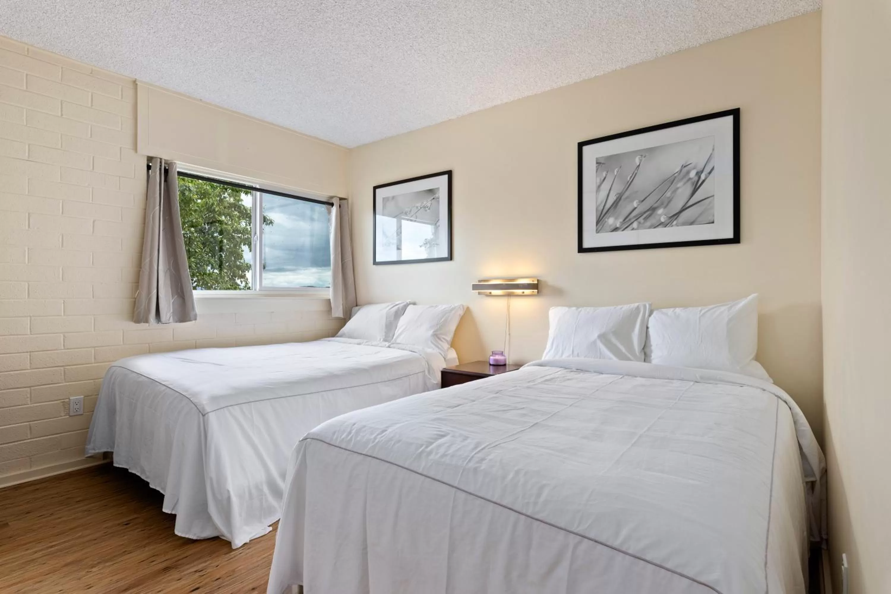 Suite with Lake View in Konocti Harbor Resort