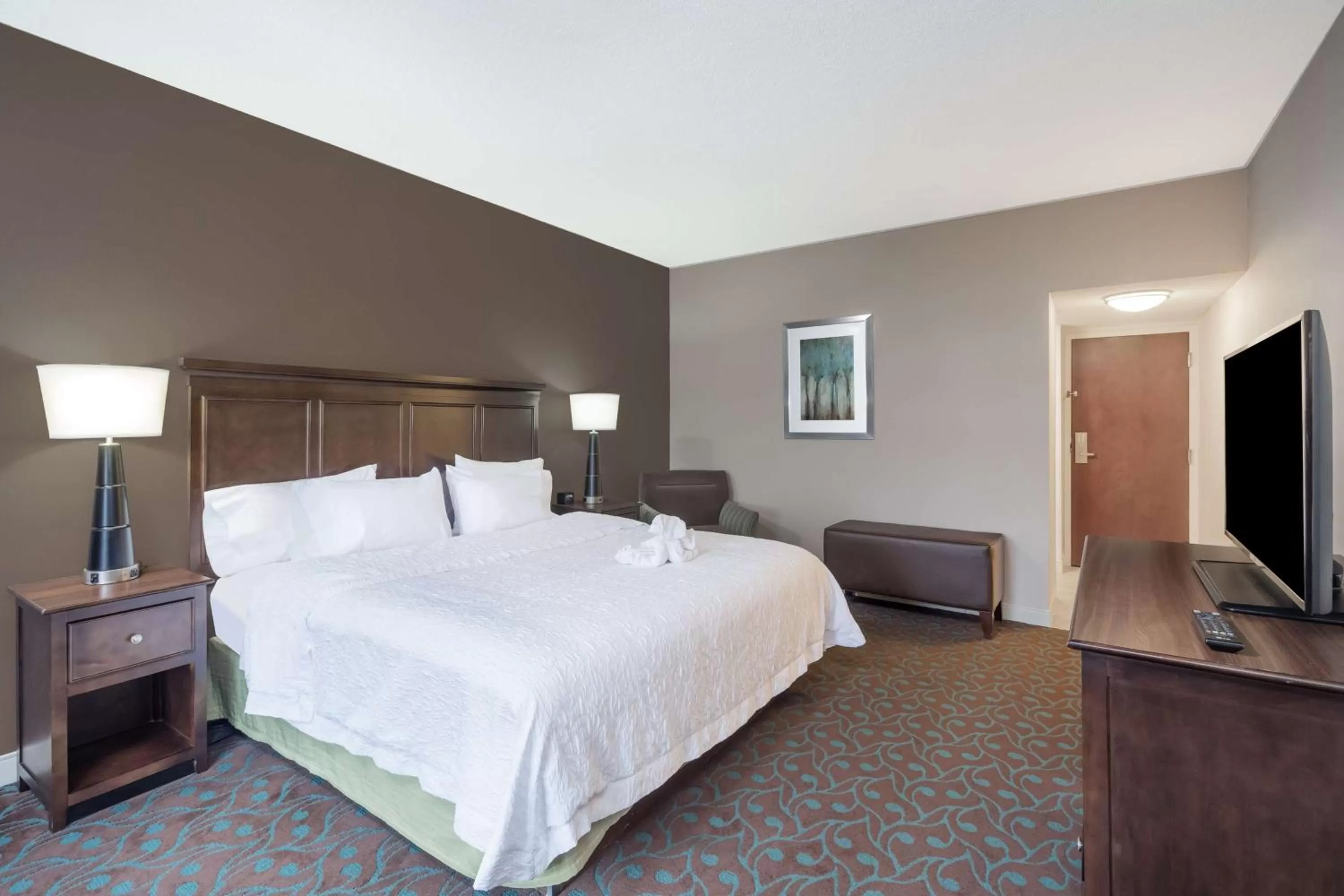 King Room - Non-Smoking in Hampton Inn Terre Haute