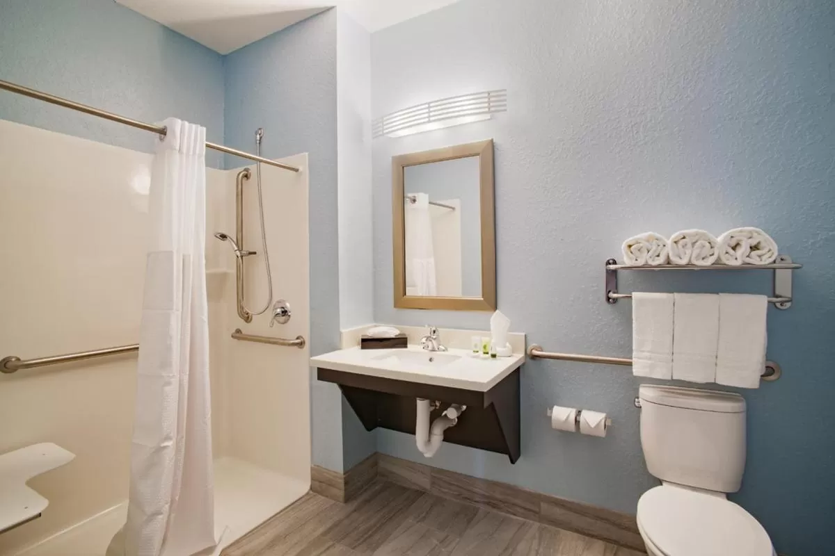 King Room - Disability Access in Iris Garden Inn