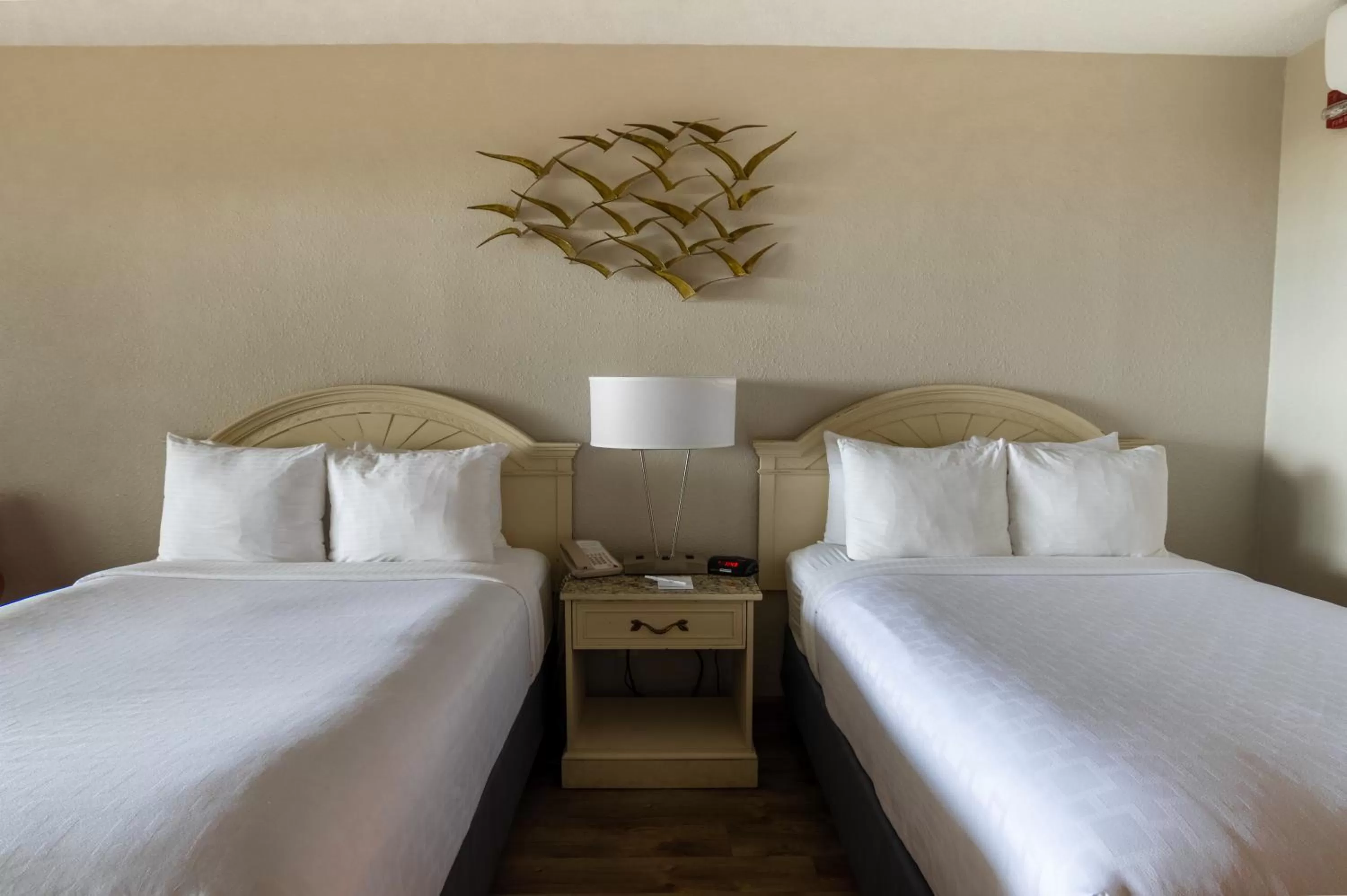 Two Doubles- Pool View in Emerald Beach Hotel Corpus Christi