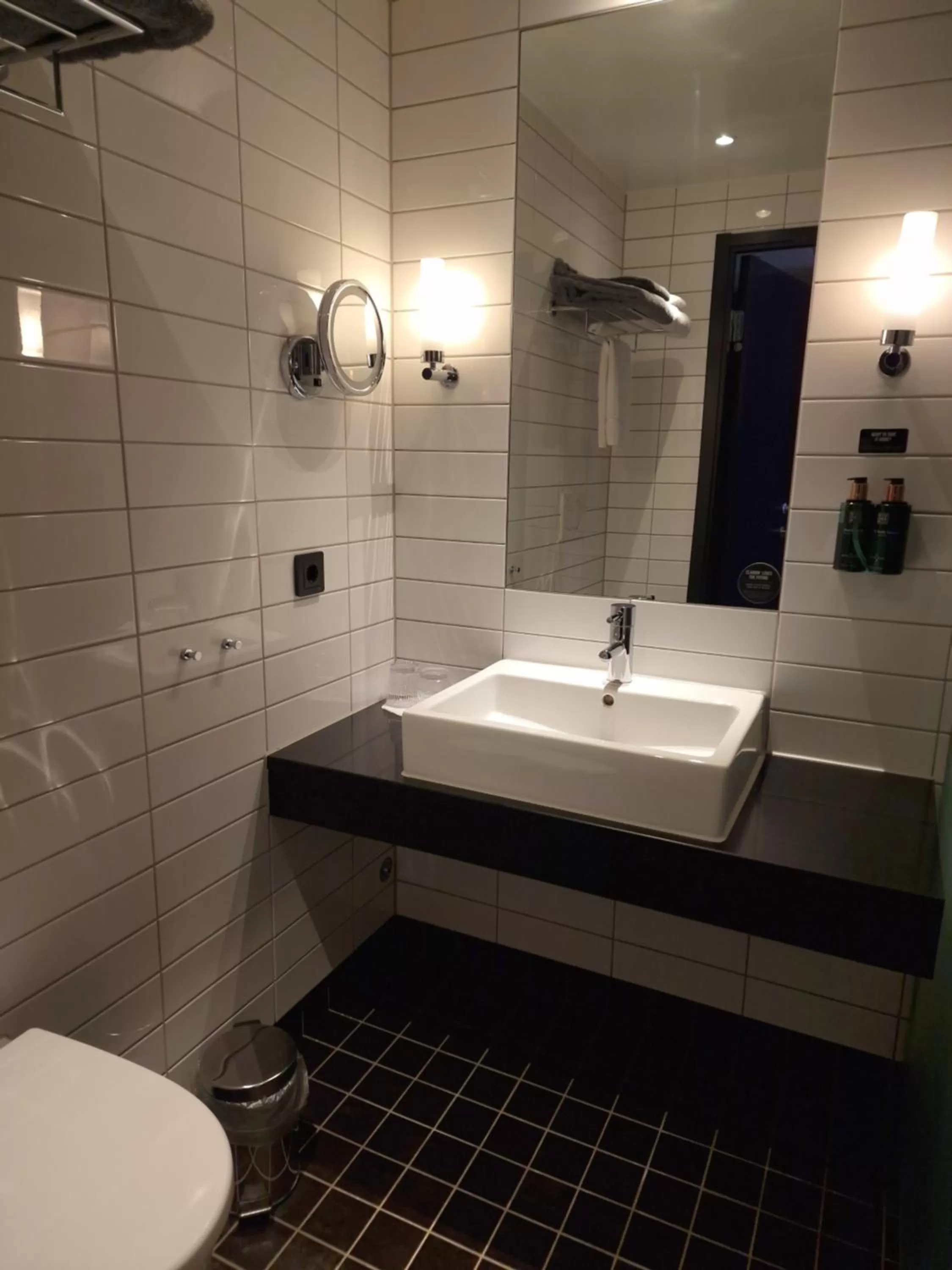 Standard Twin Room in Clarion Hotel Sense