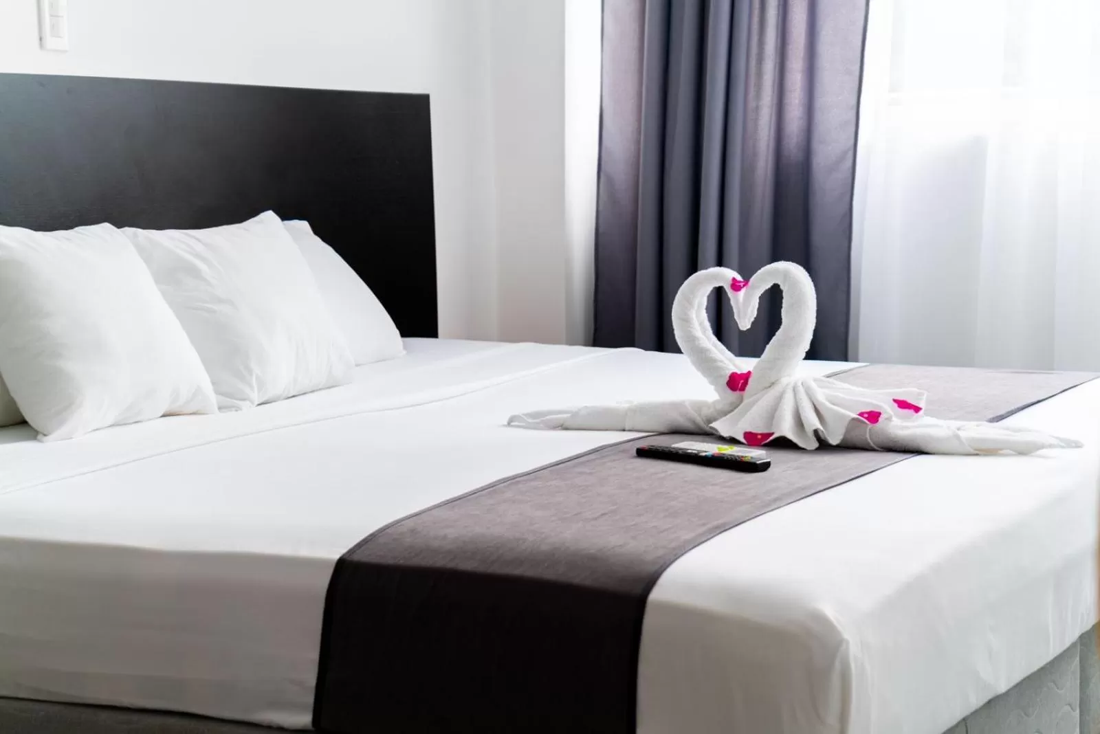 Standard Double Room in Patty House Galapagos