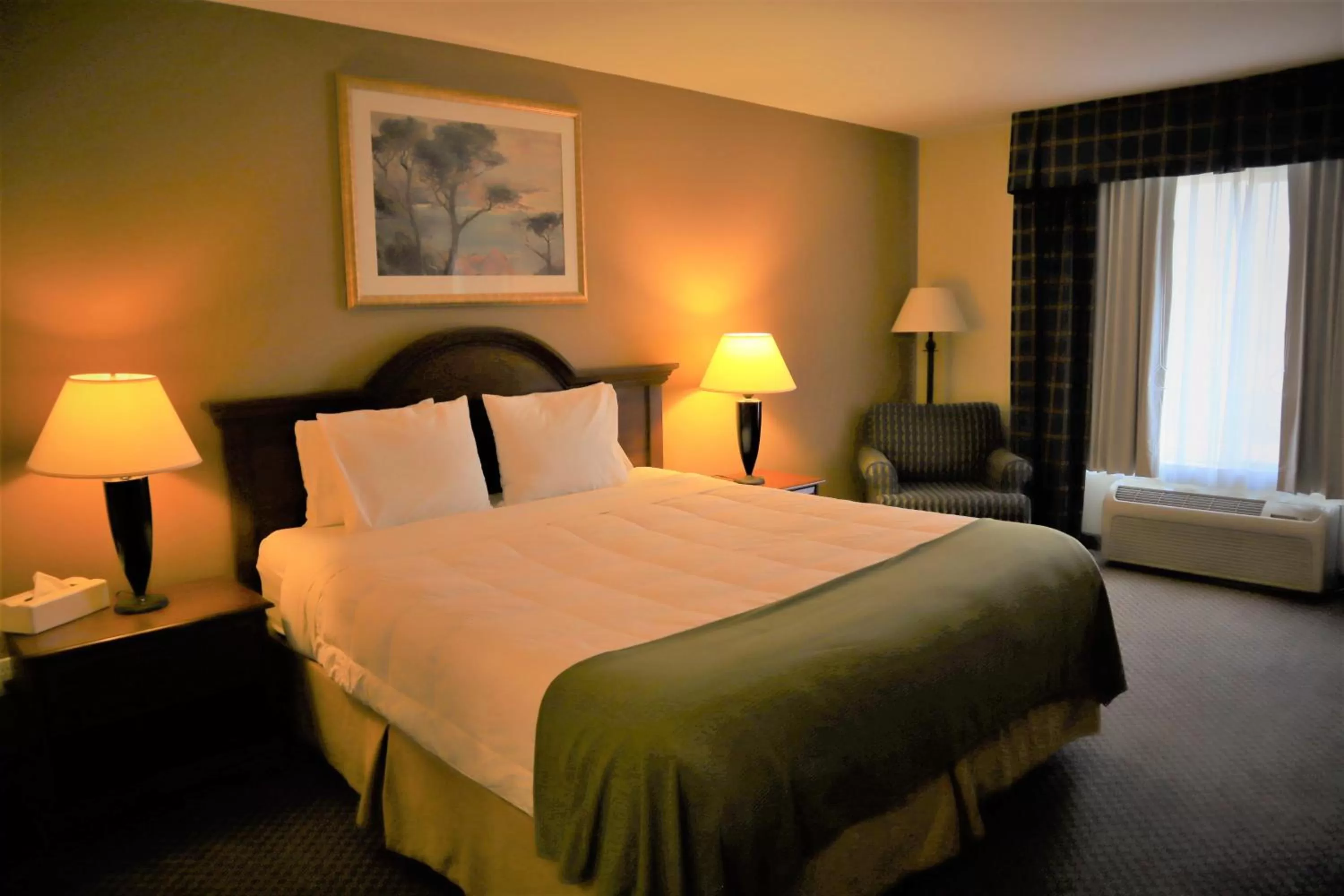 Standard King Room - Non-Smoking  in Oasis Inn & Suites 29 Palms Hotel Joshua Tree National Park