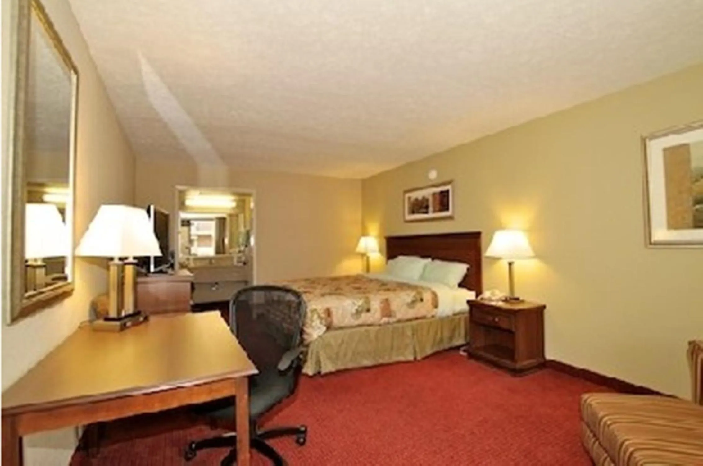 King Room in Springfield Inn TN
