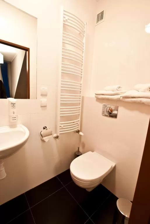 Large Double Room in Dom Pracy Twórczej