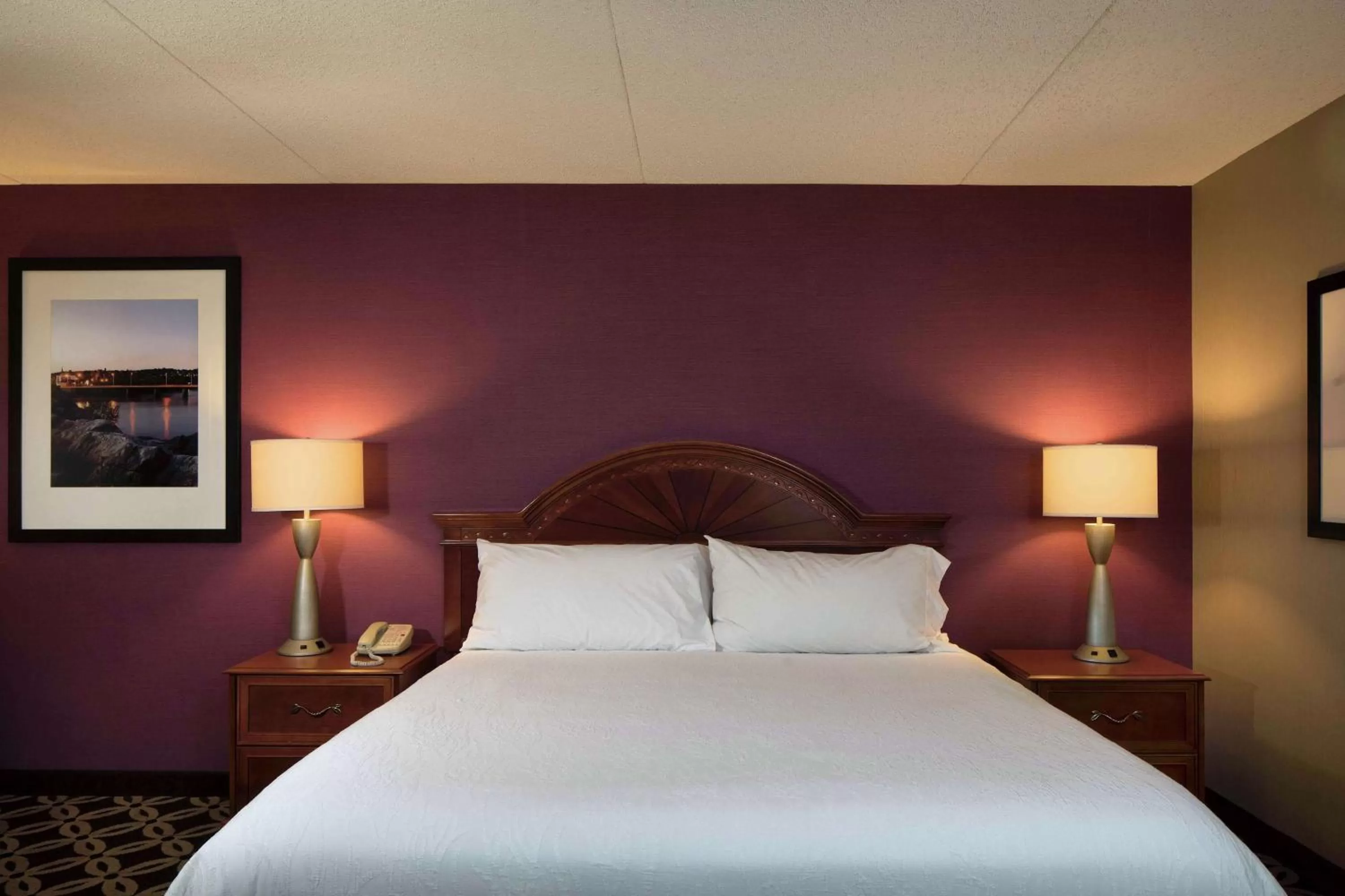 King Room in Hilton Garden Inn Auburn Riverwatch