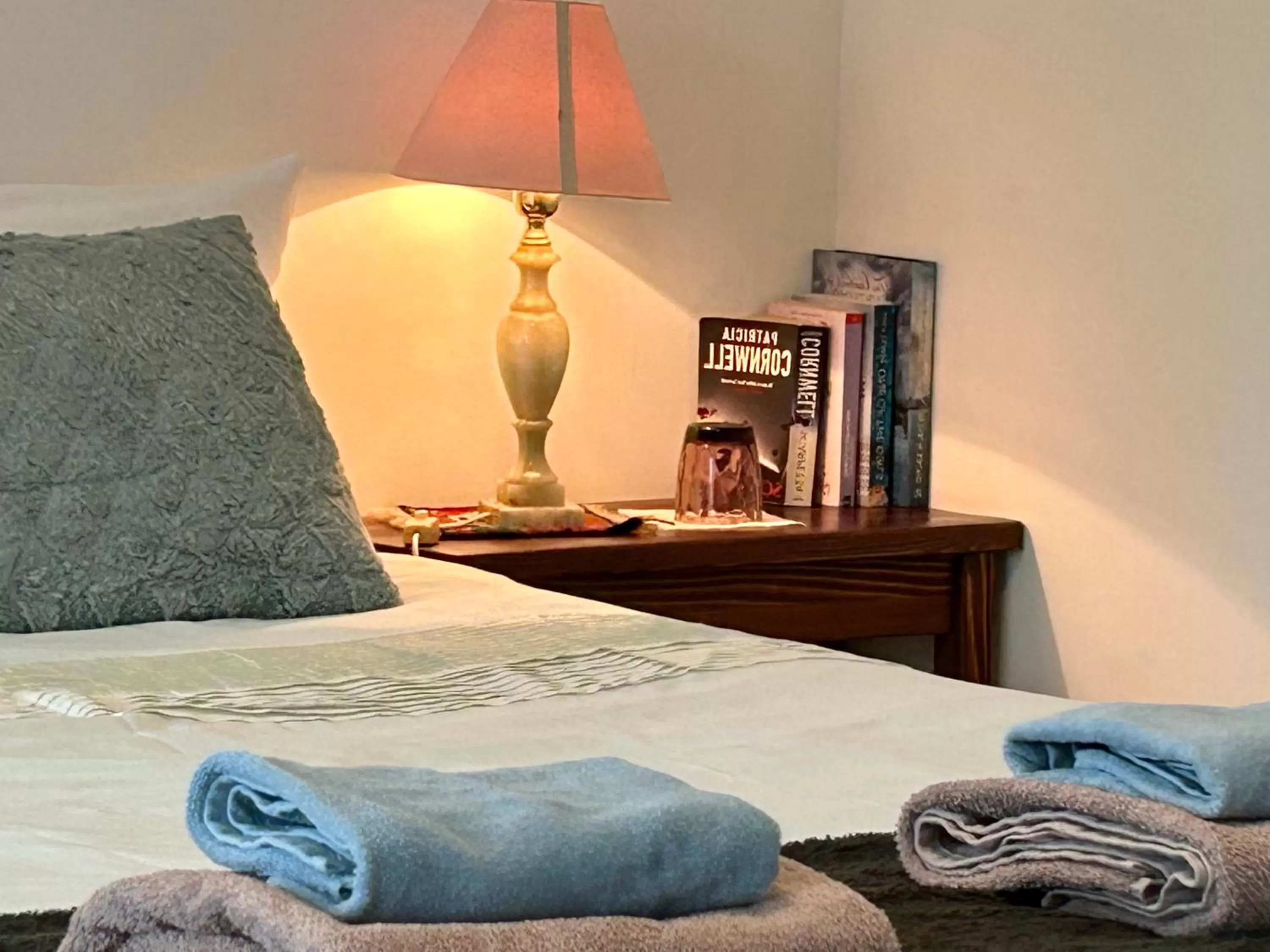 Twin Room - single occupancy in Vila Vanda Vukovar