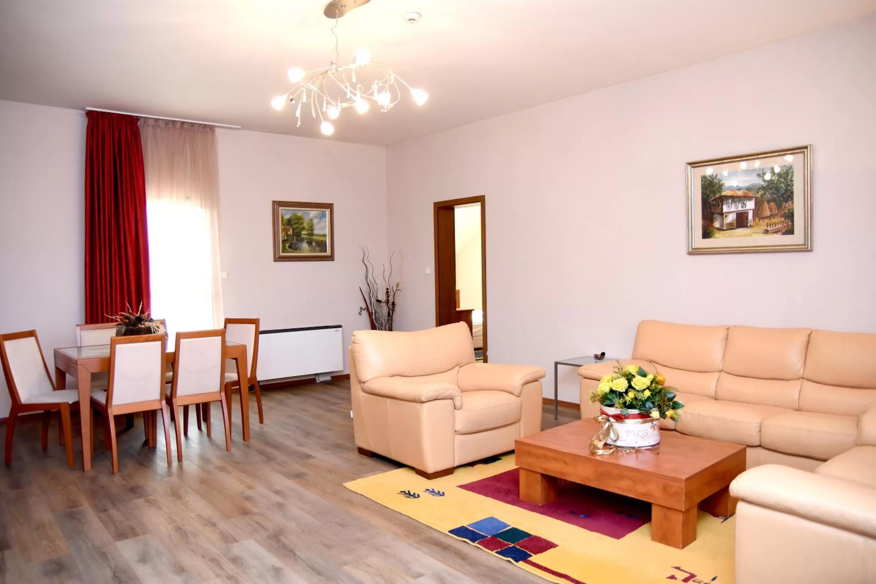 VIP Apartment - single occupancy in Sveta Sofia Hotel