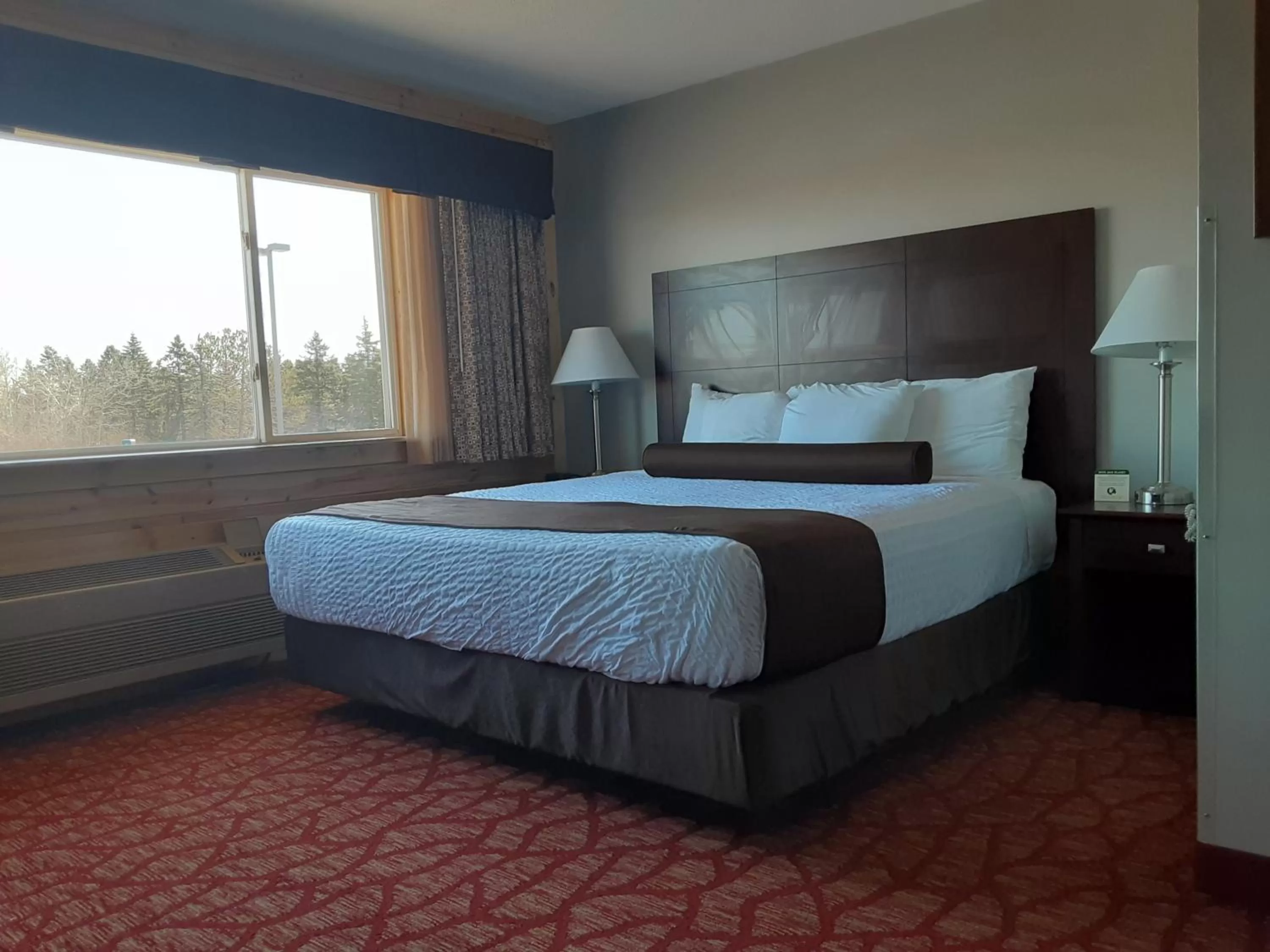 King Room - Disability Access in Boarders Inn & Suites by Cobblestone Hotels - Superior/Duluth