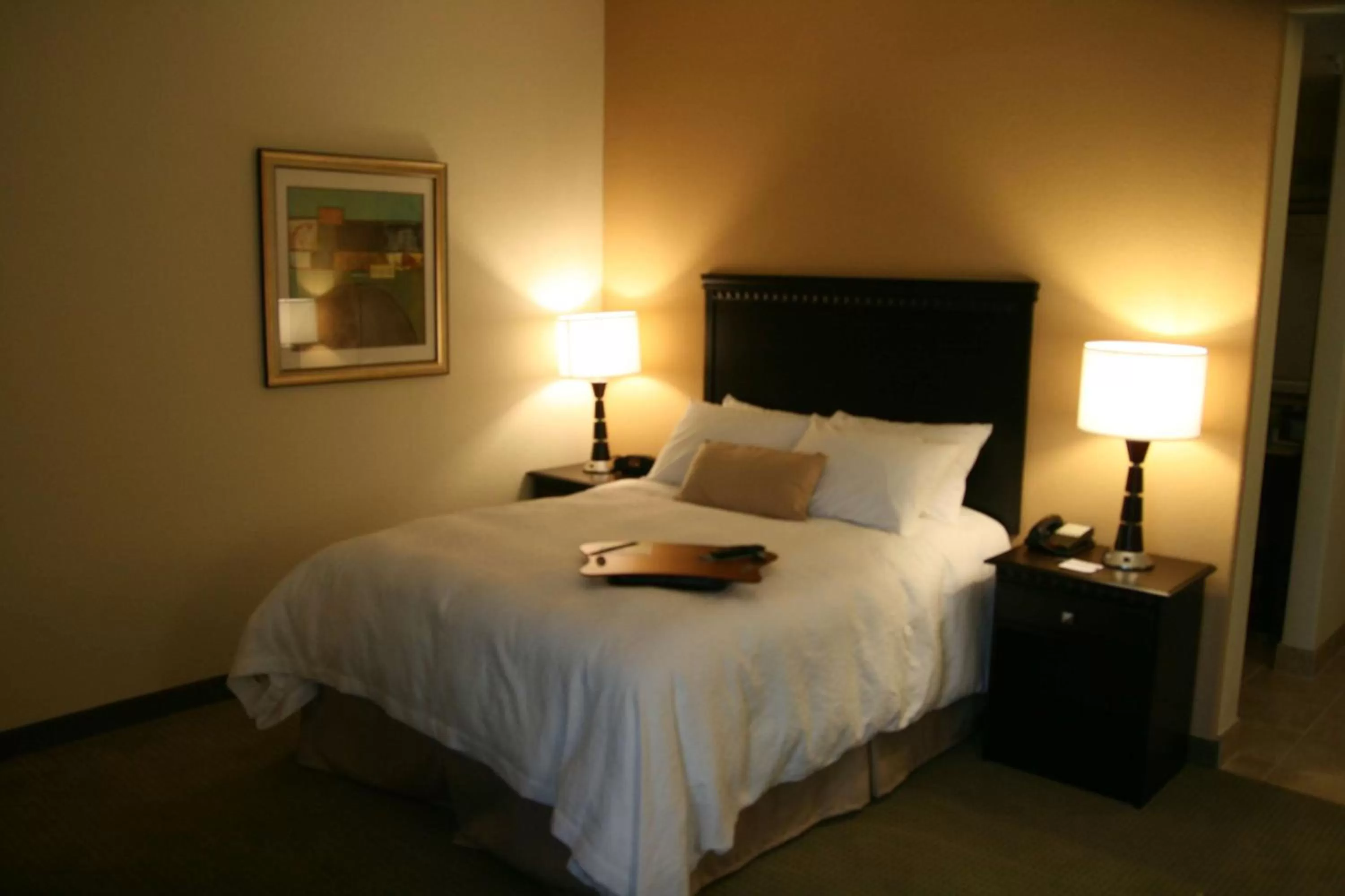 Queen Room with Bath Tub - Disability Access/Non-Smoking  in Hampton Inn La Grange