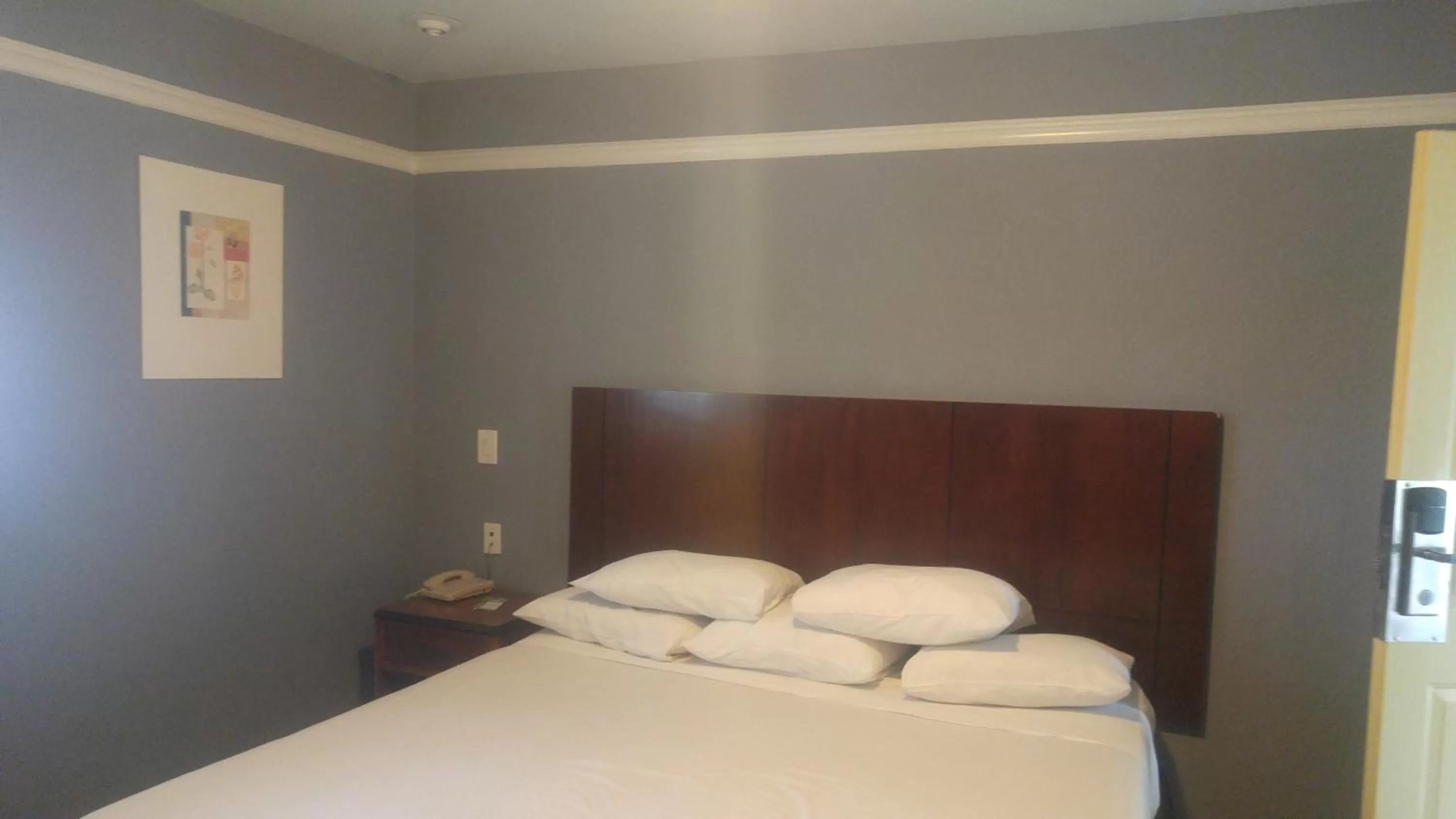 Single Room - Disability Access in Riviera Motel