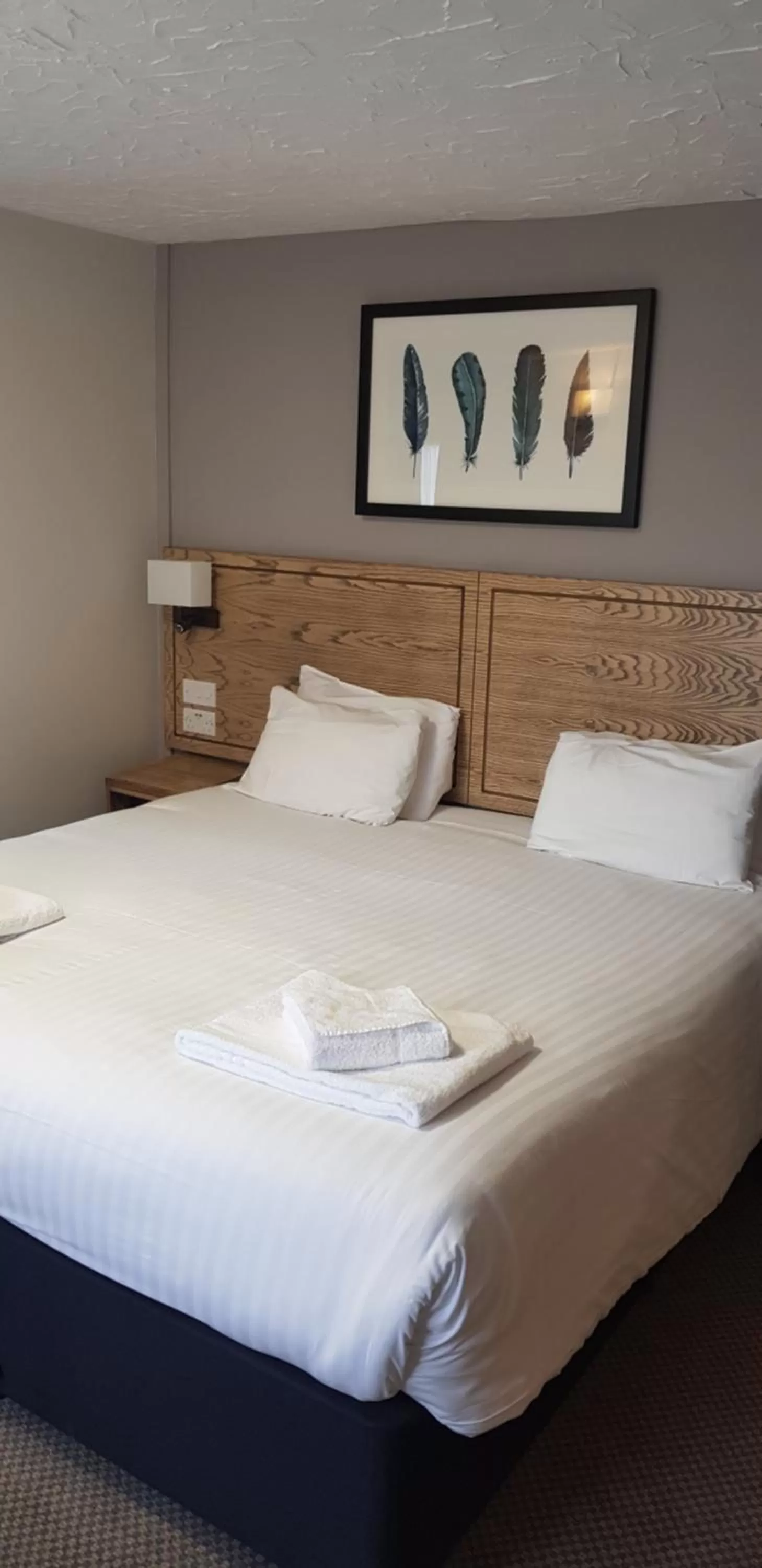 Standard Double Room in Waterloo Cross, Devon by Marston's Inns