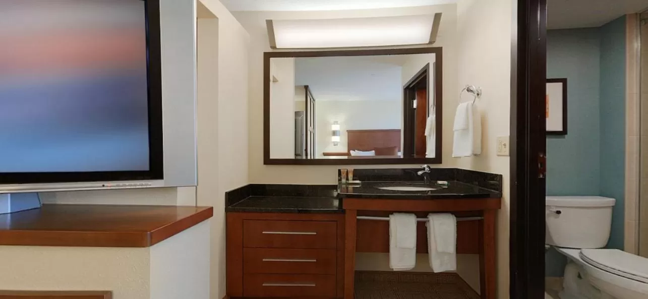 King Room with Sofa Bed in Hyatt Place Raleigh Cary