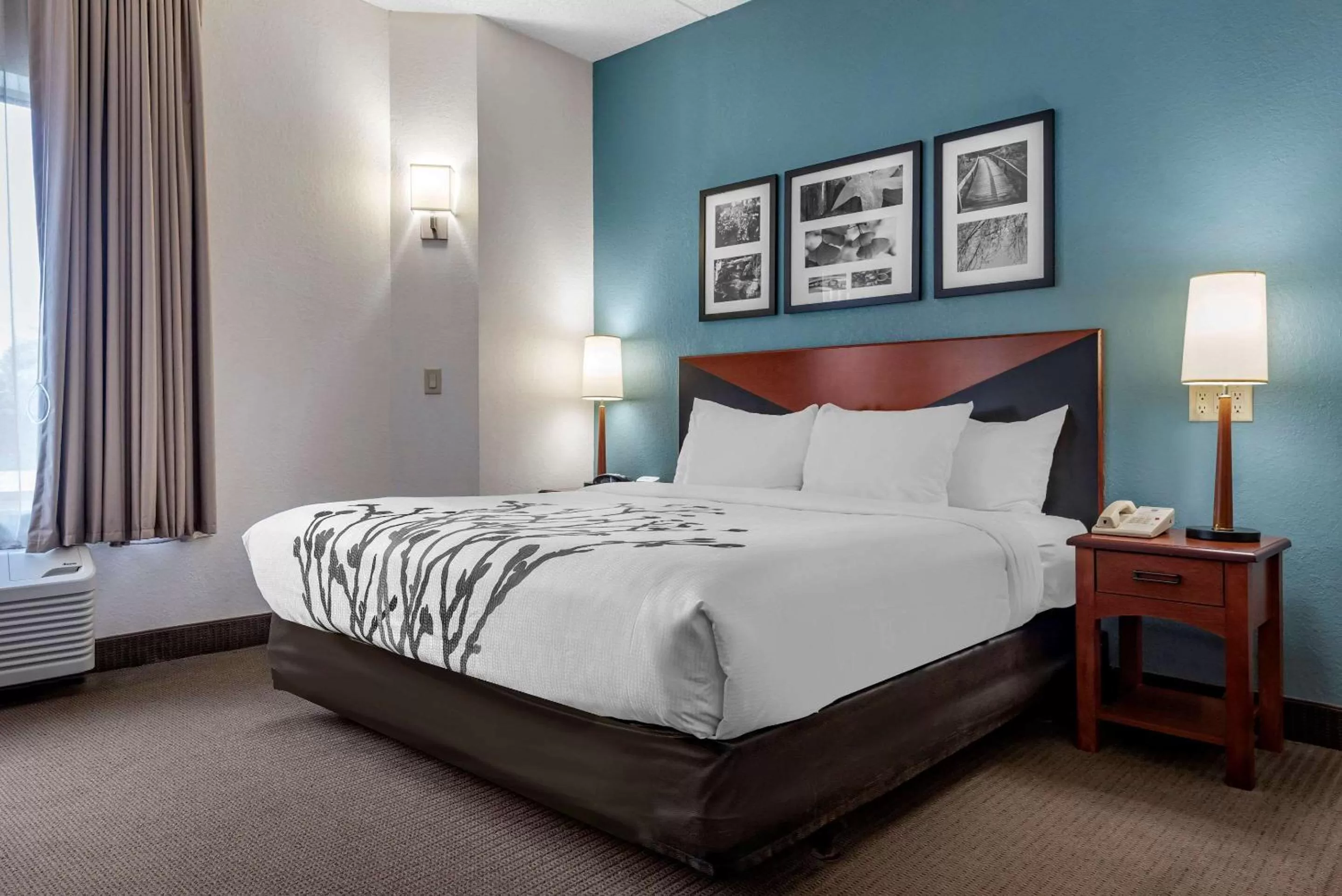 Standard King Room - Disability Access/Non-Smoking in Sleep Inn Amherst - Buffalo North near University