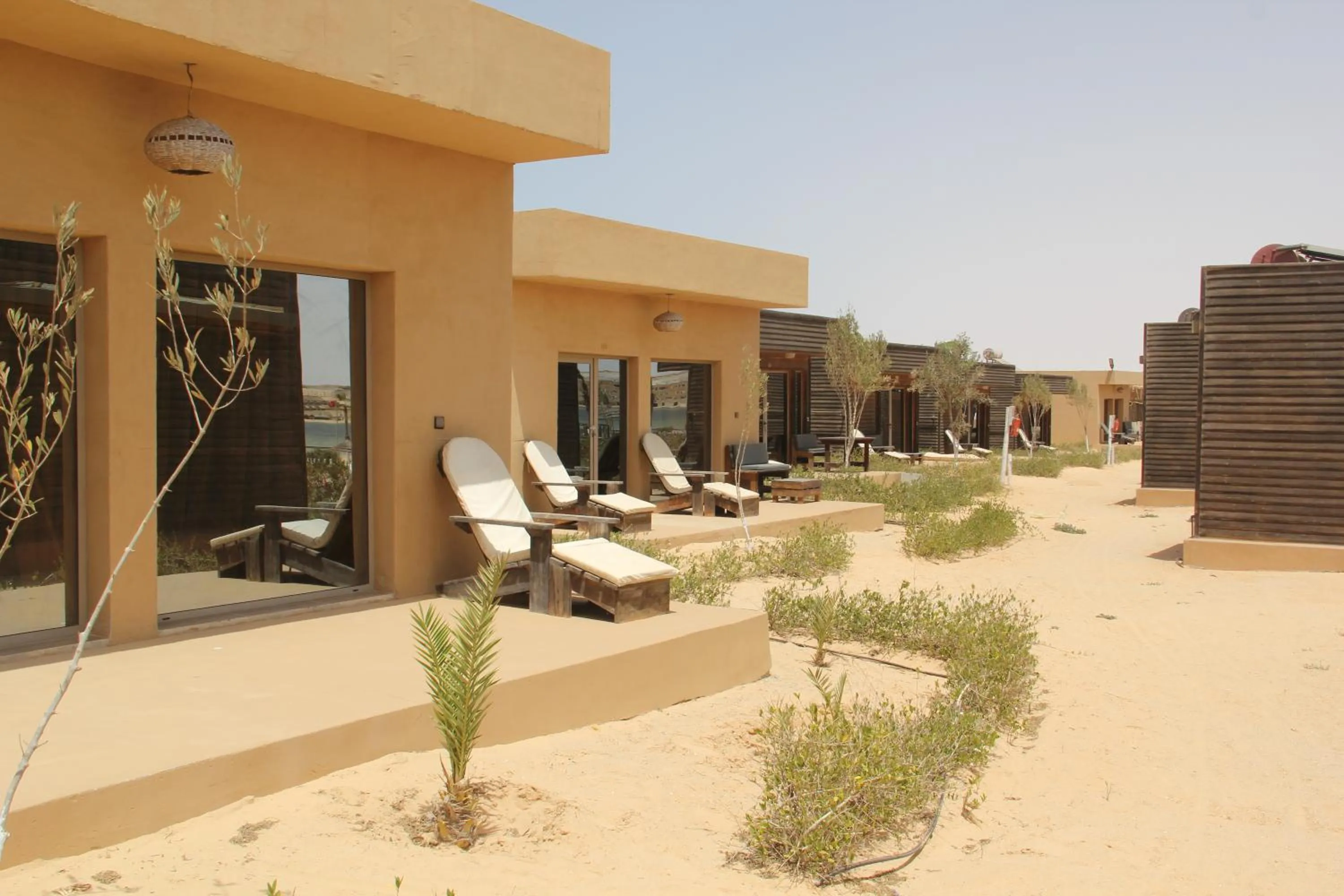 Deluxe Suite in Dakhla Camp