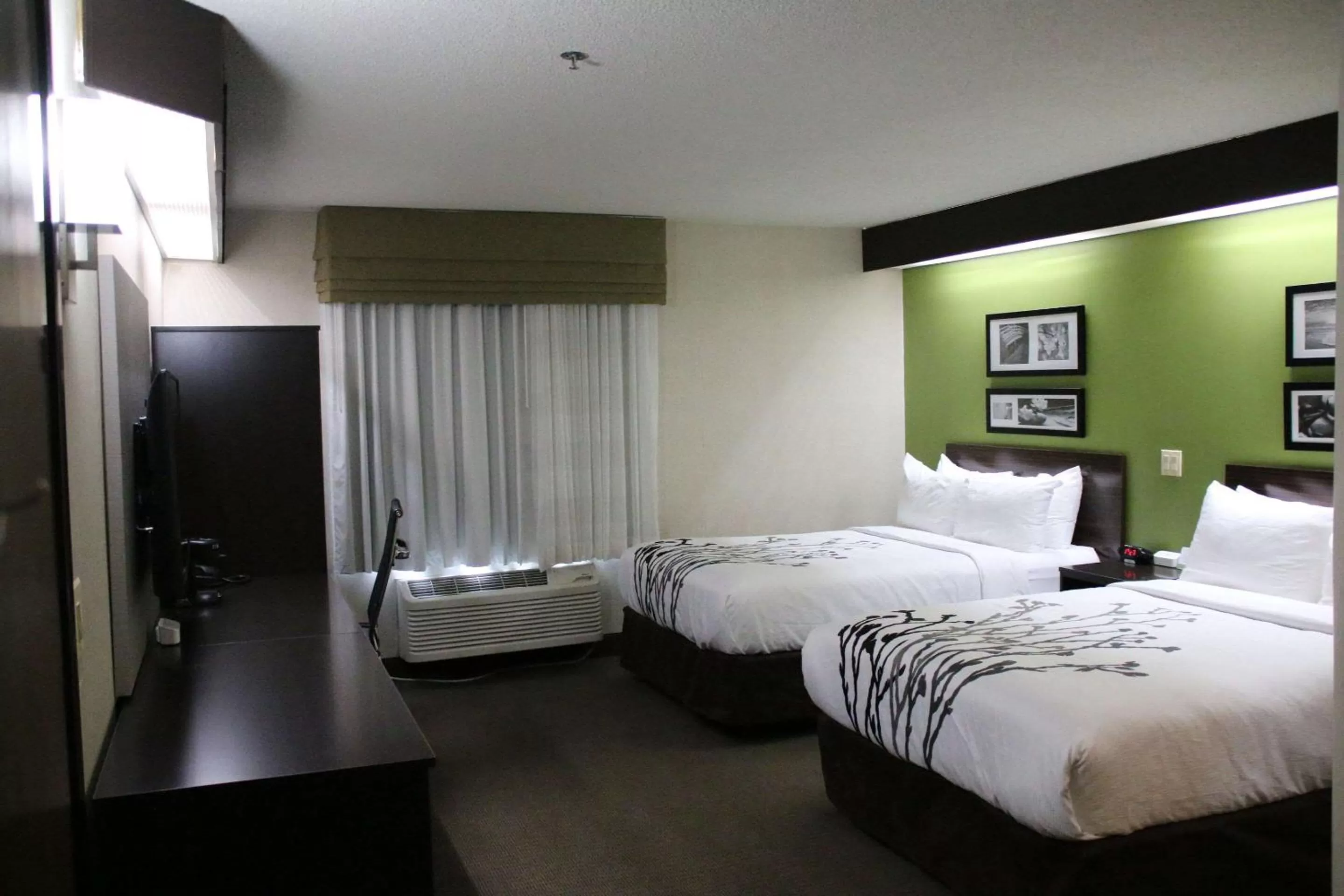 Double Room with Two Double Beds - Non-Smoking in Sleep Inn near Great Lakes Naval Base