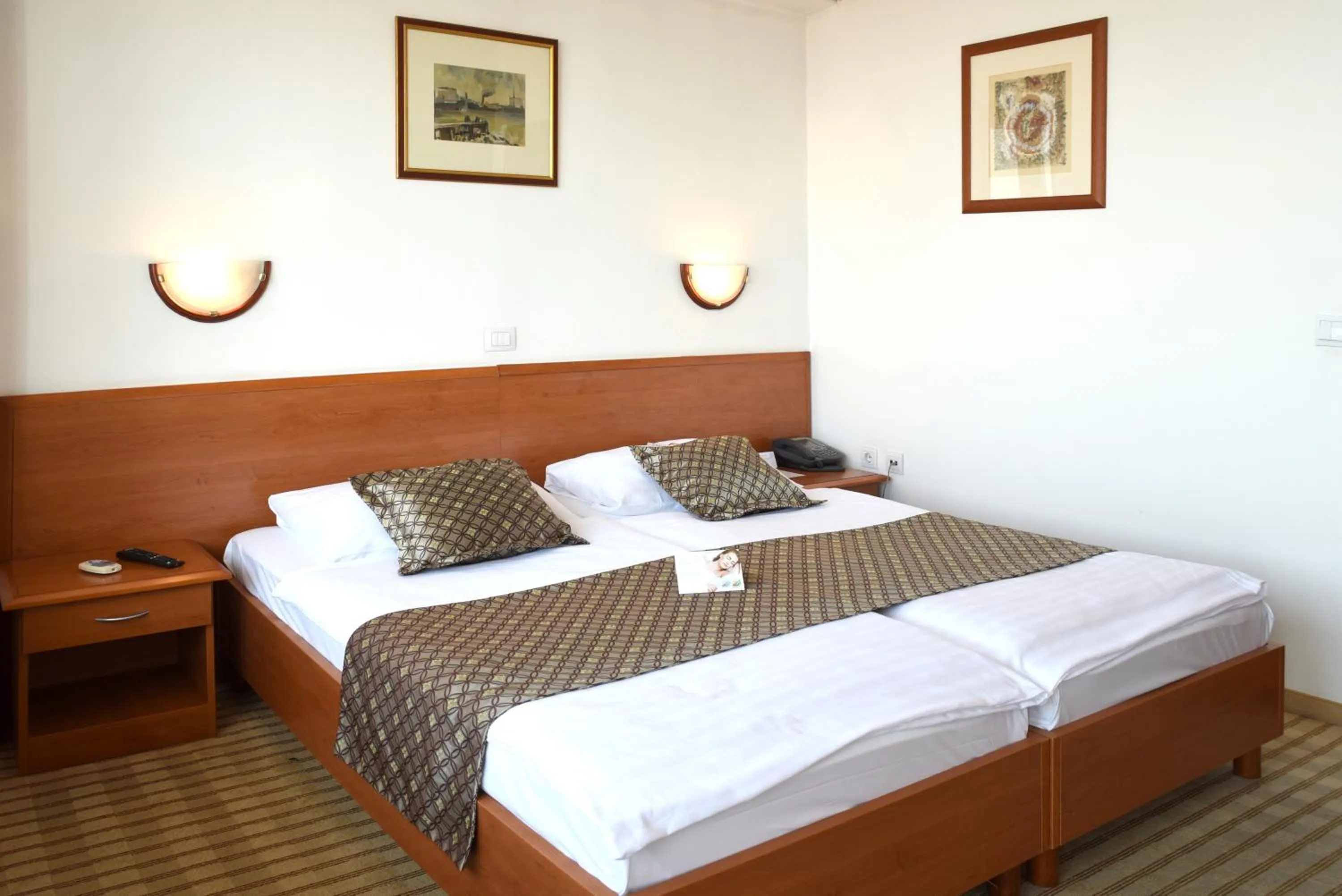 Standard Double or Twin Room in Hotel Neboder