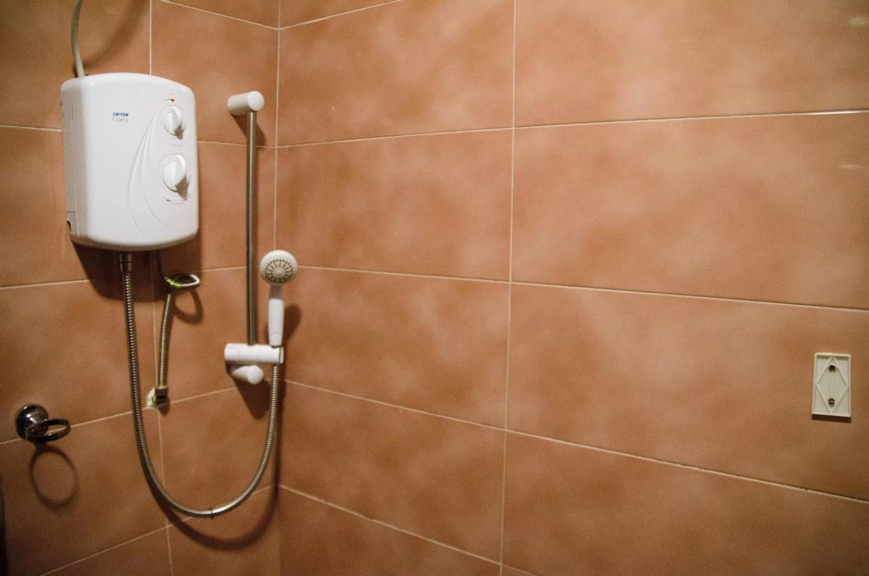 Standard Double Room in Hotel Rosebud