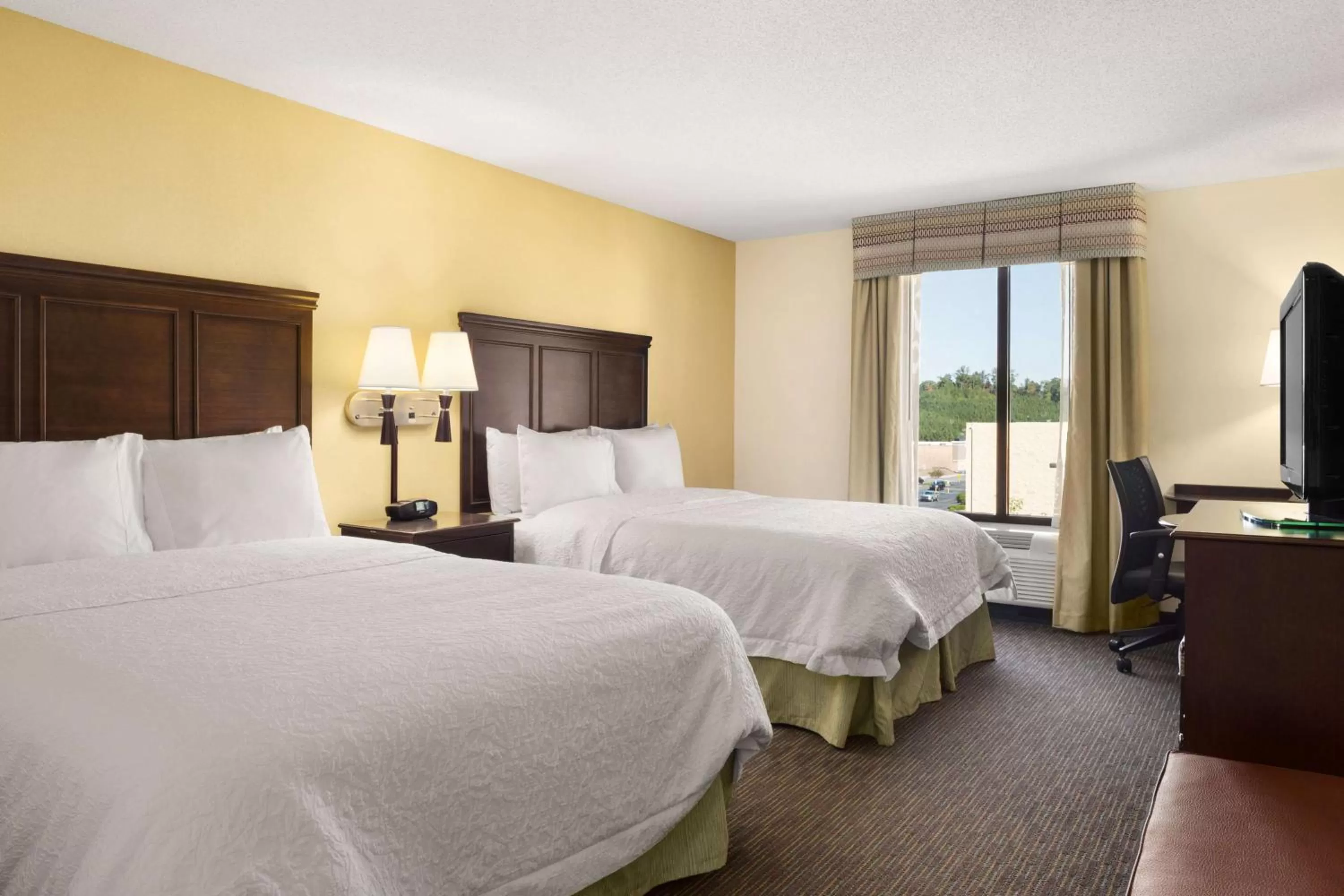 Queen Room with Two Queen Beds - Disability Access Hearing Accessible - Non-Smoking in Hampton Inn & Suites Birmingham/280 East-Eagle Point